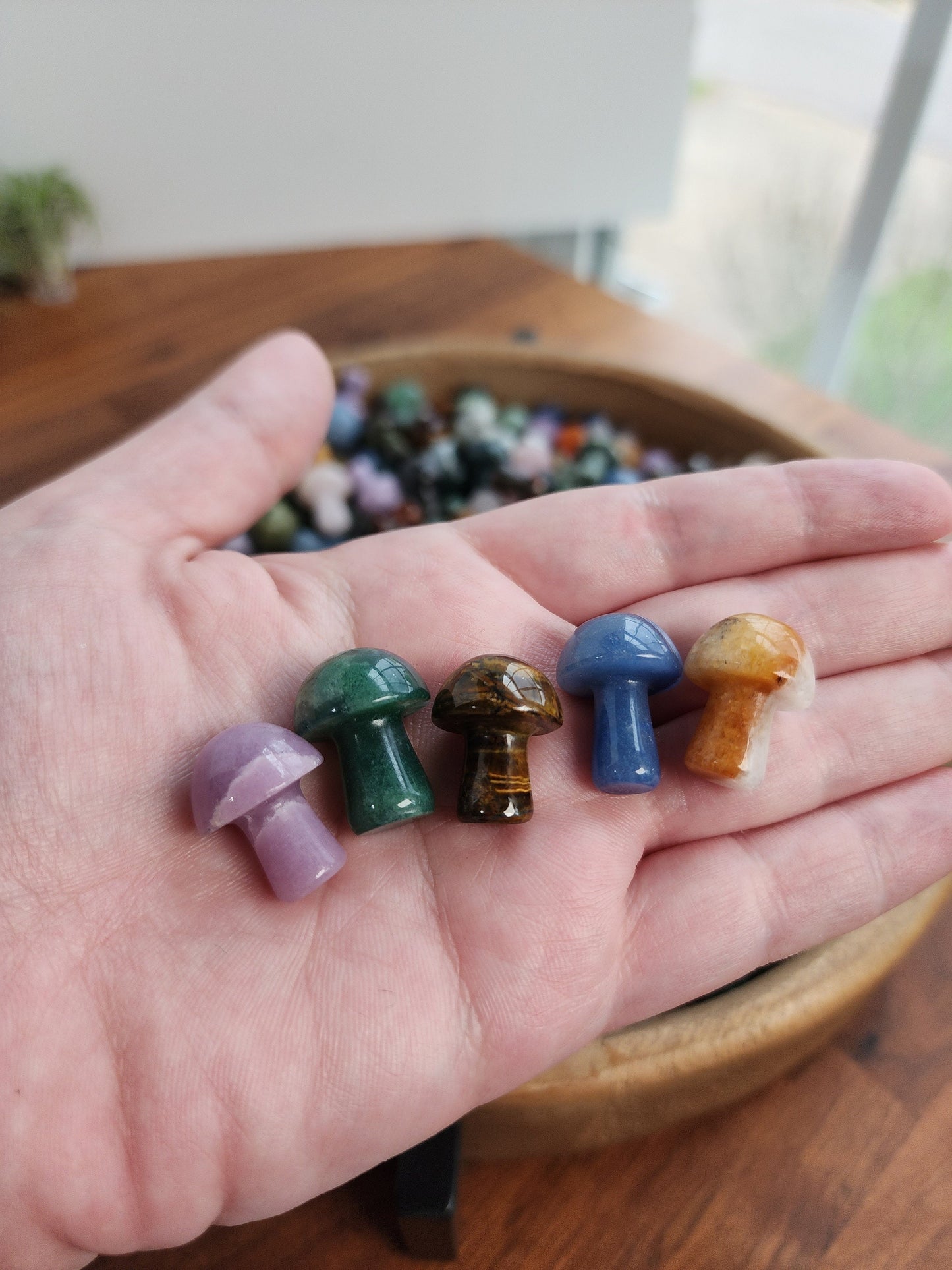 Mystery Crystal Mushrooms | Mushies | Mushroom Crystals | Over 20 Varieties | Intuitvely Chosen