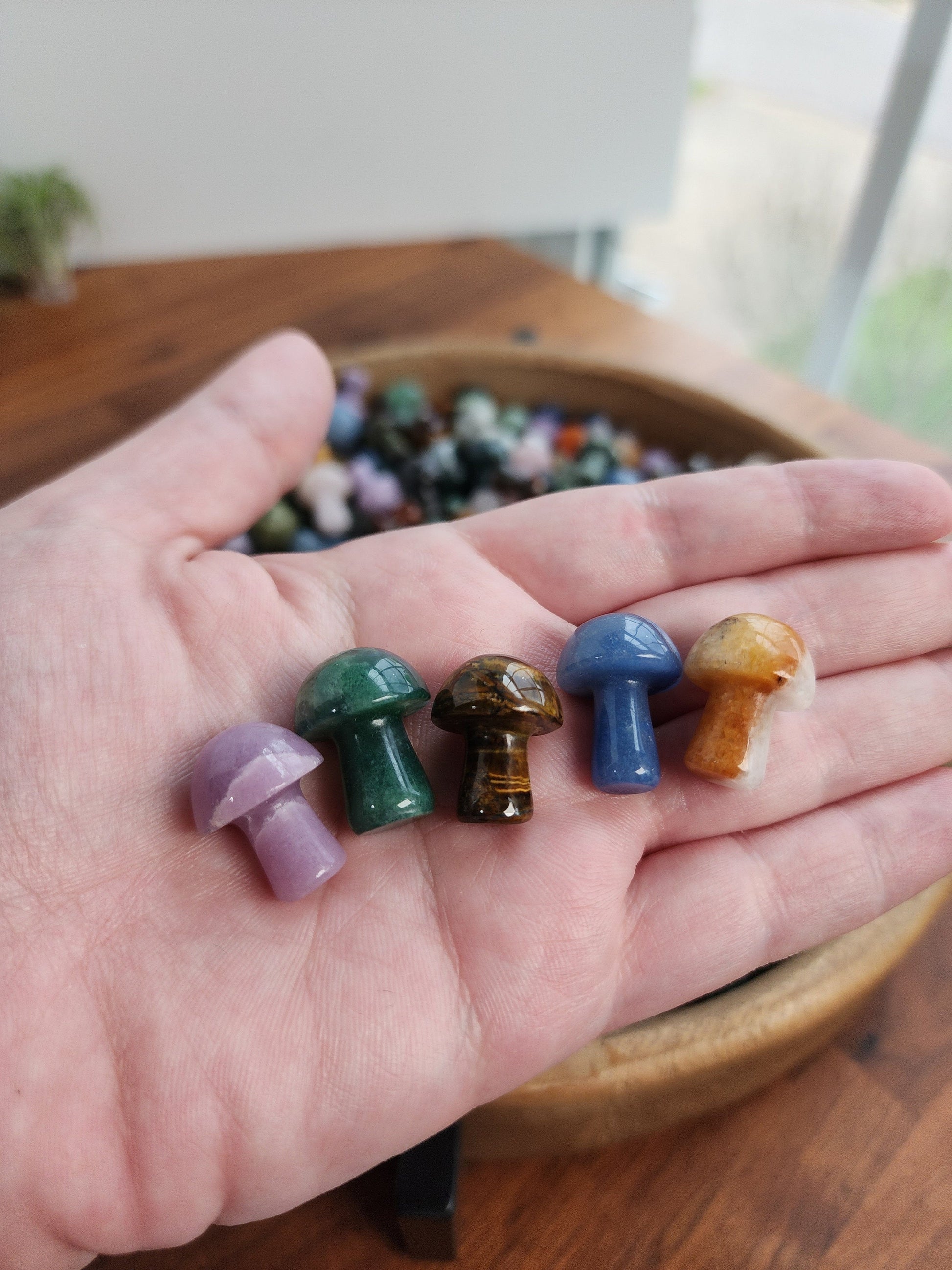 Mystery Crystal Mushrooms | Mushies | Mushroom Crystals | Over 20 Varieties | Intuitvely Chosen