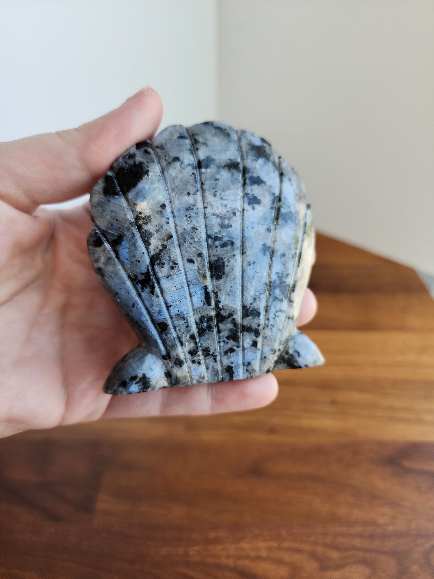 Larvakite Shell | Flashy Silver Crystal | Gray Ocean Crystals | Mermaid Minerals | Blue Flash & Black | Summer | Vacation Fun | Only ONE