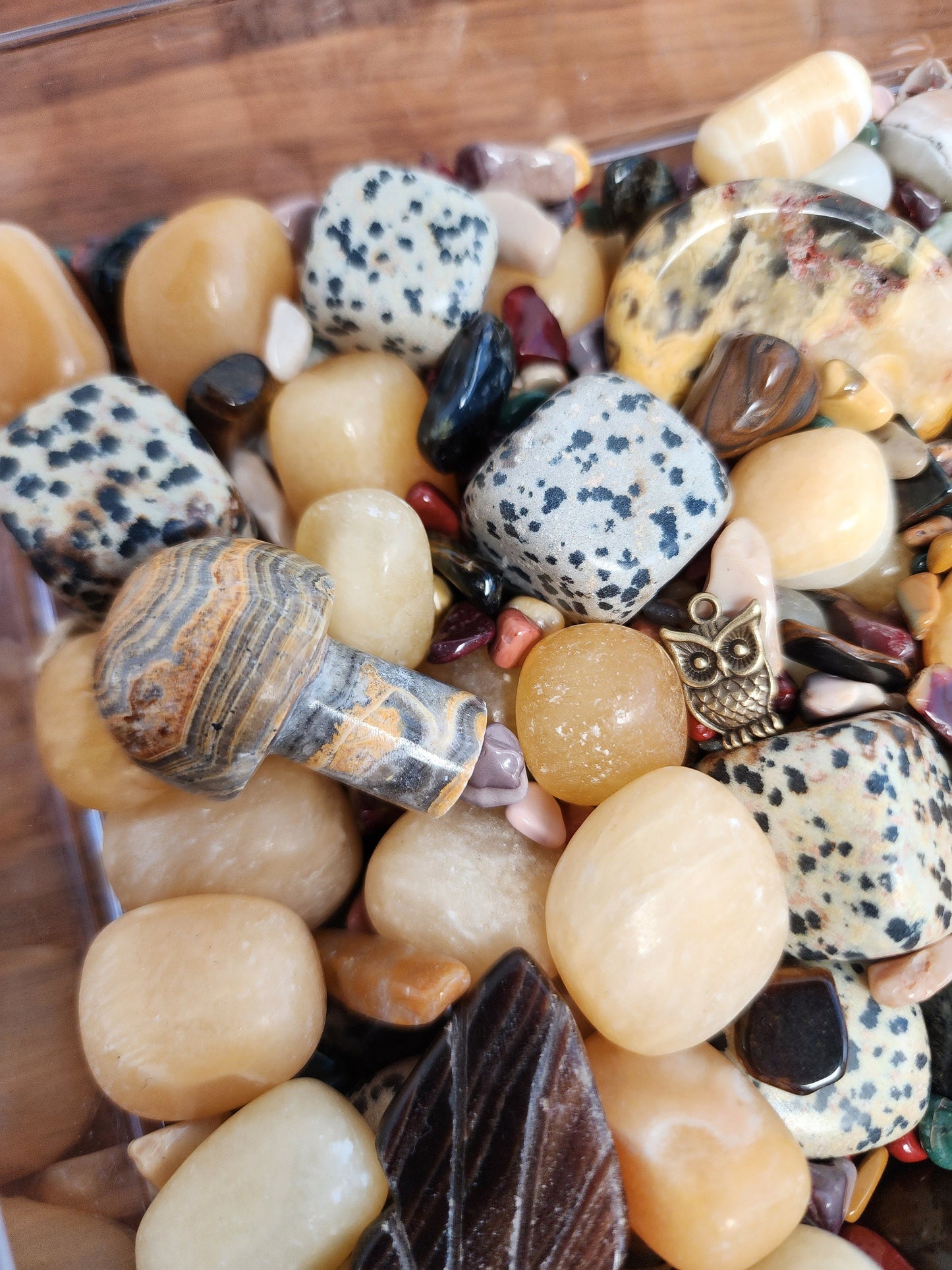 Earth Mix | Kid Creations | Elemental Rock Crystal Confetti by Sullivan | Dalmation Jasper, Orange Calcite, Crazy Lace, Alashan & More