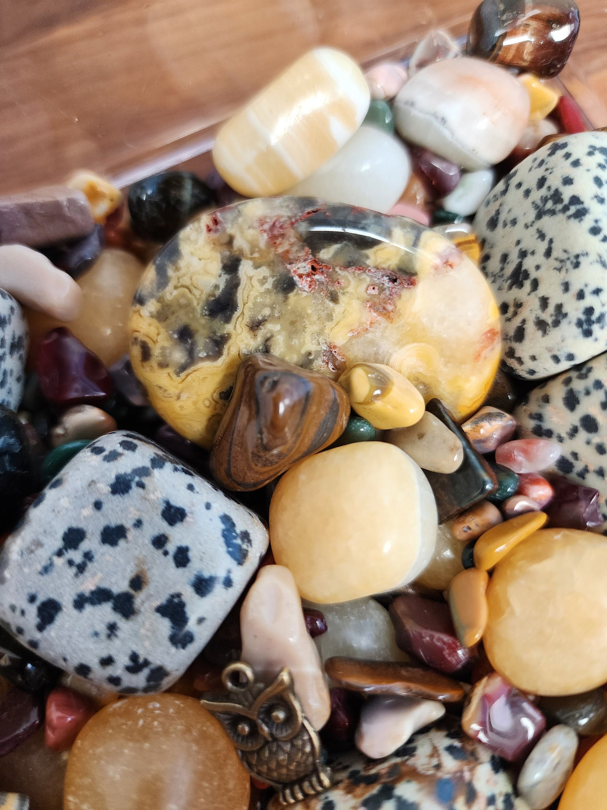 Earth Mix | Kid Creations | Elemental Rock Crystal Confetti by Sullivan | Dalmation Jasper, Orange Calcite, Crazy Lace, Alashan & More