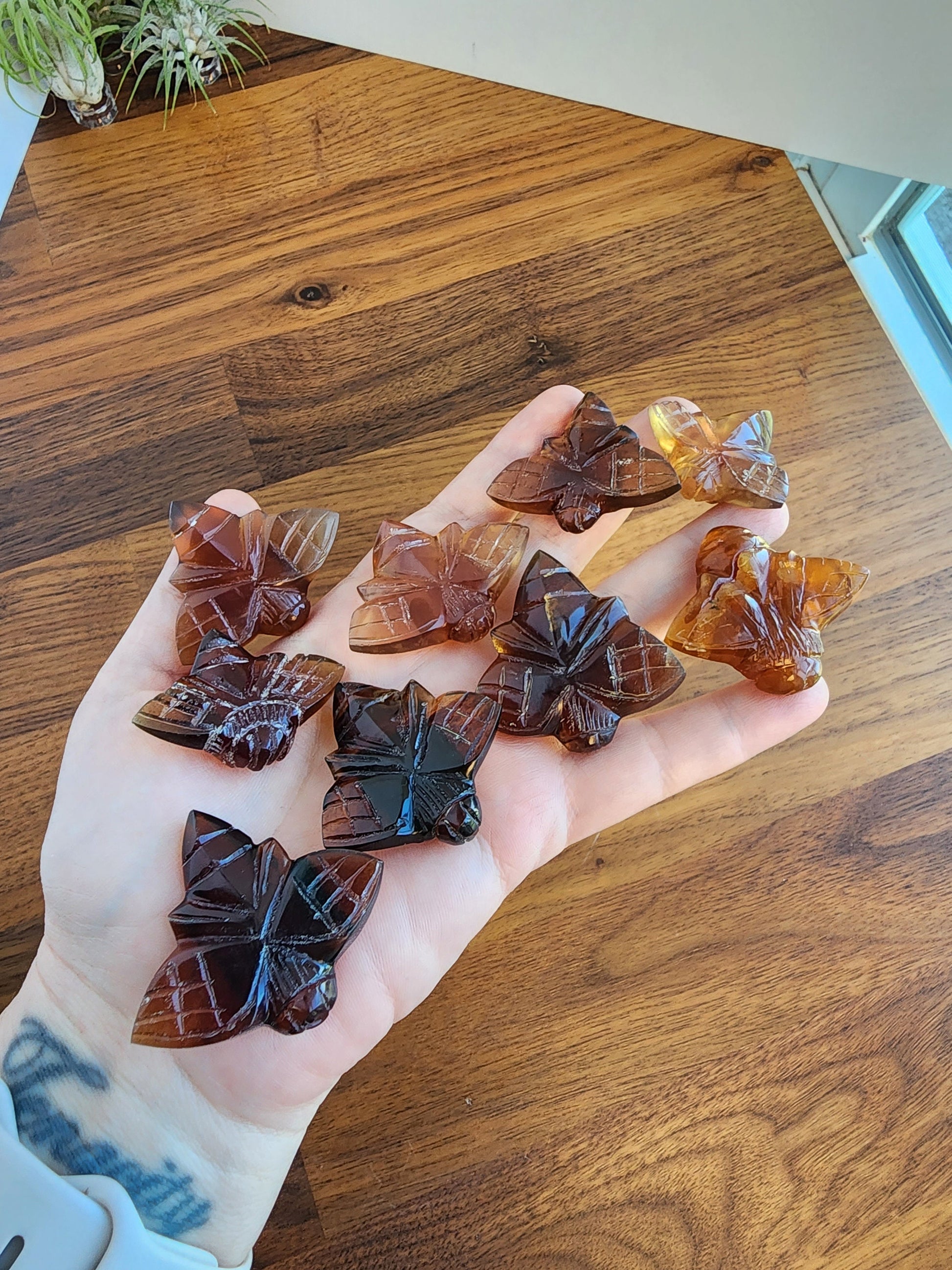 Amber Bee Carving | Natural Amber Carvings | Wings Closed Honeybee | Save the Bees | Intuitively Chosen