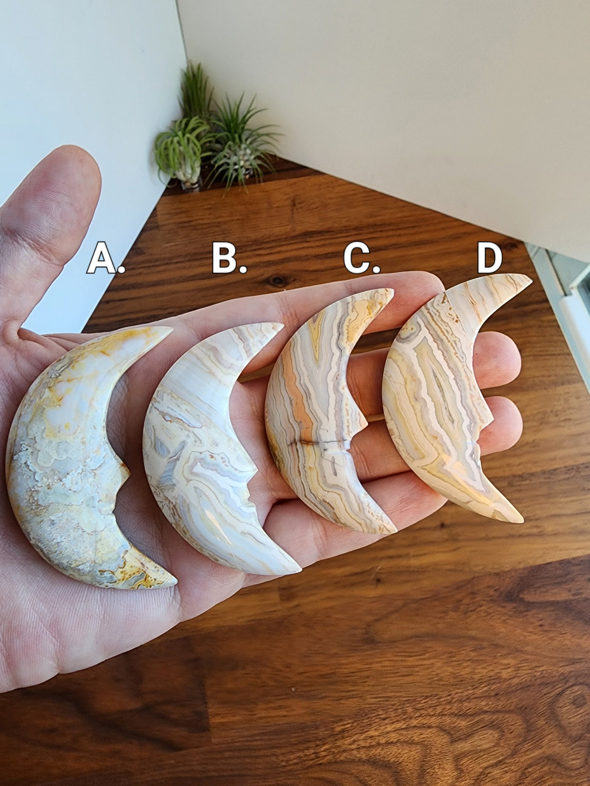 Crazy Lace Moons | Crescent Moons with Mexico Agate Yellow, Cream, Blue, and Peach Banding | Some with Druzy | | Choose Your Crystal