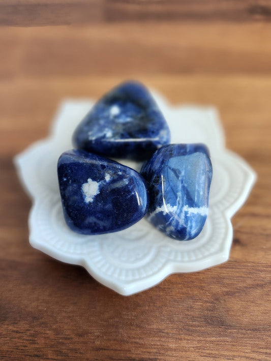 Sodalite Tumbles | Large | Mermaid Crystal Confetti Add On | Ocean Mix | Bright Royal Blue Tumble | Intuitively Chosen