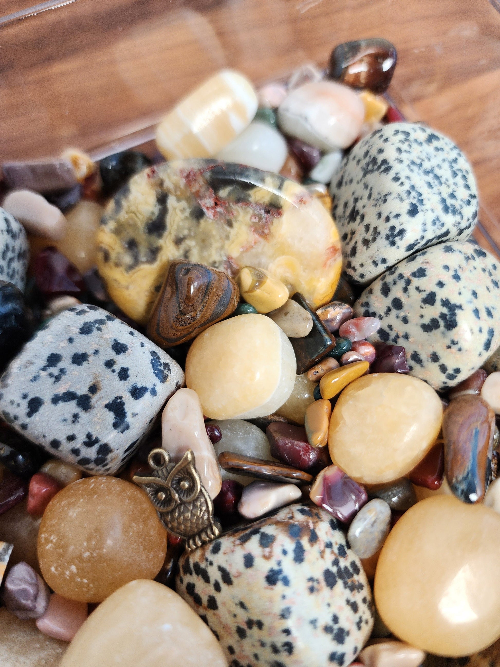 Earth Mix | Kid Creations | Elemental Rock Crystal Confetti by Sullivan | Dalmation Jasper, Orange Calcite, Crazy Lace, Alashan & More