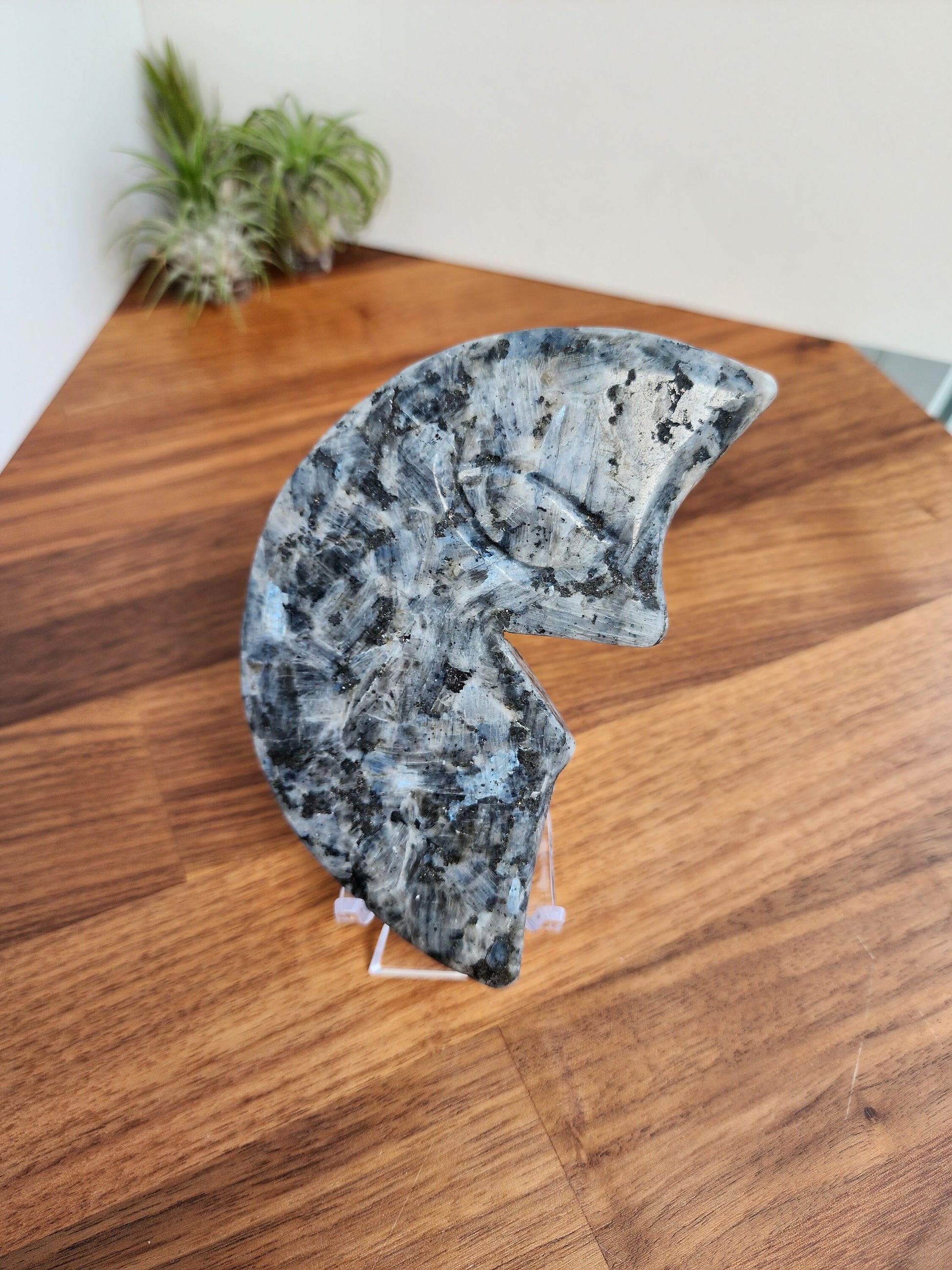 Laughing Larvakite Moon | Large Crescent Moon Crystal | Happy Smiling Gray Moon with Blue Flashes | Big Crystals | Statement | Only One!