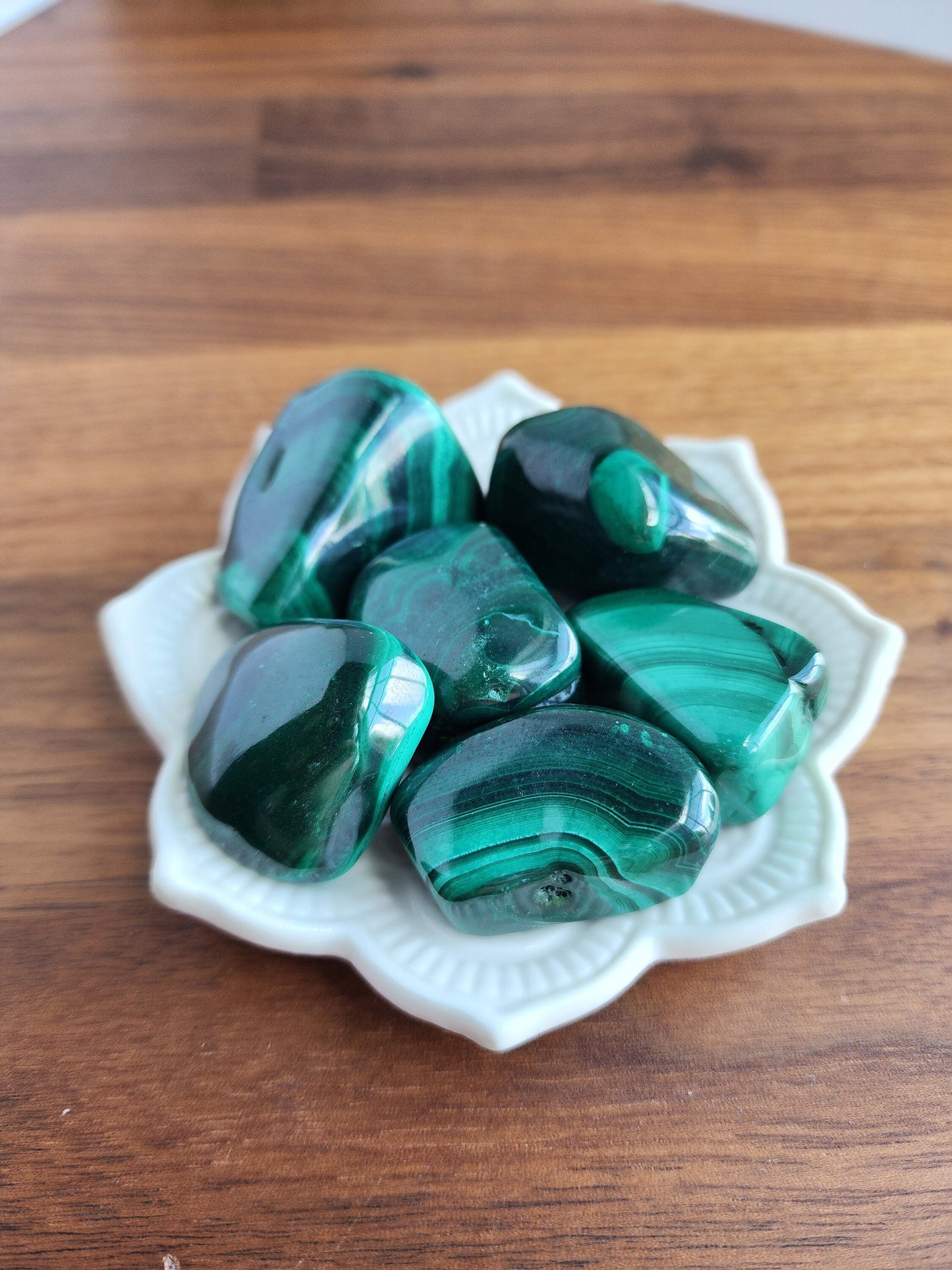 Malachite Tumbles | Large | ONE Gorgeous Green | Vibrant Banded Crystal | High Quality | Intuitively Chosen