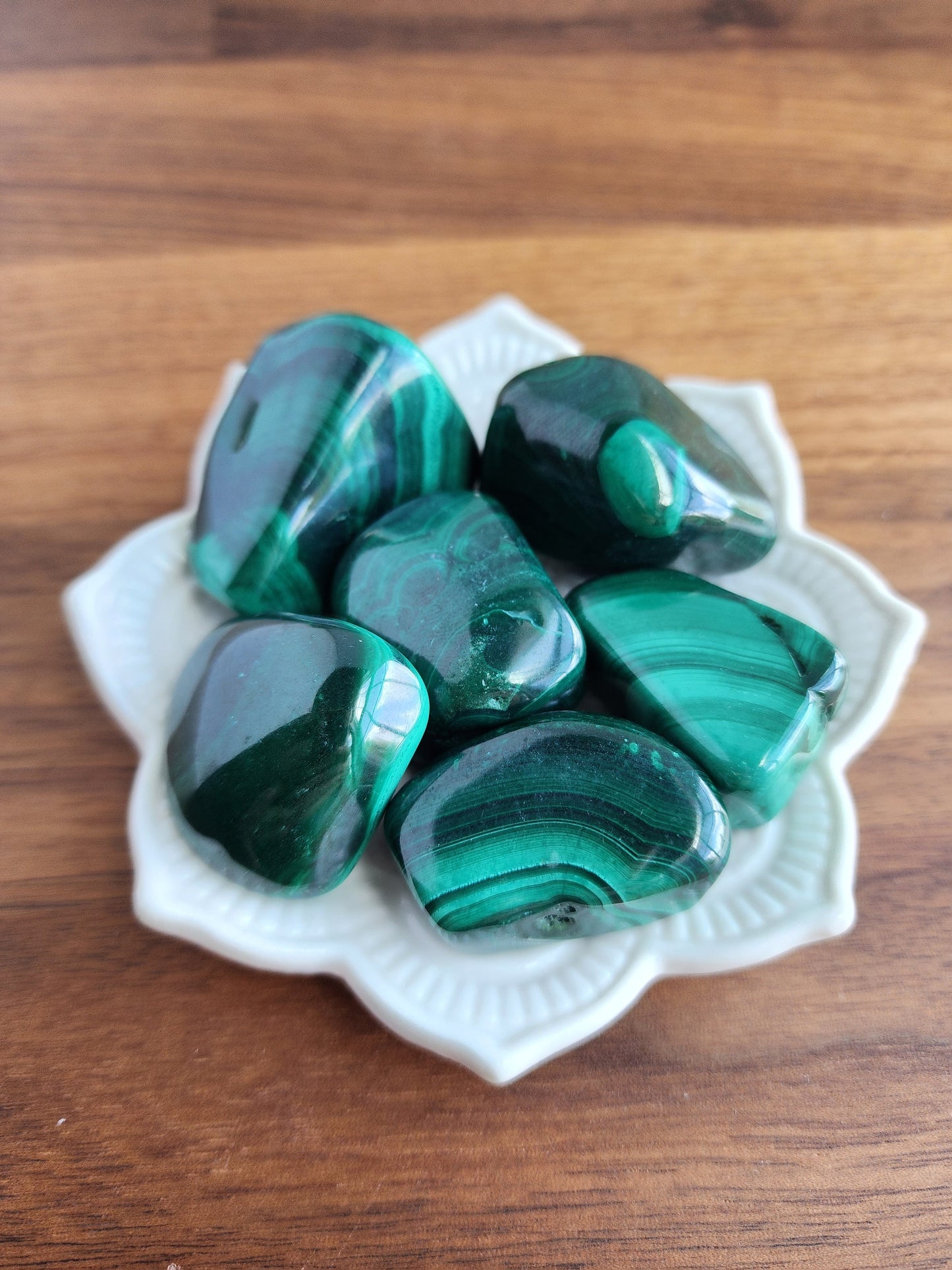 Malachite Tumbles | Large | ONE Gorgeous Green | Vibrant Banded Crystal | High Quality | Intuitively Chosen