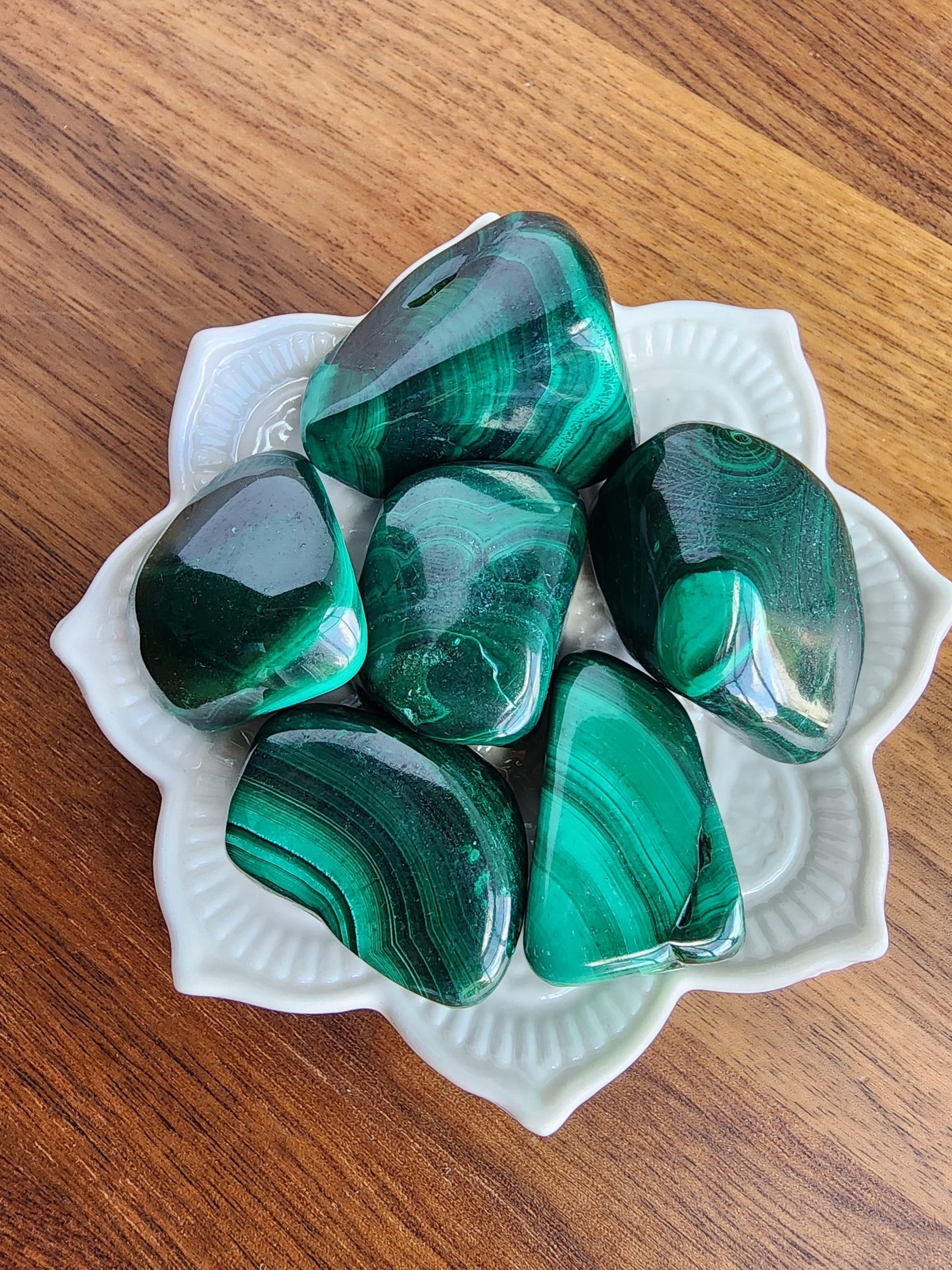 Malachite Tumbles | Large | ONE Gorgeous Green | Vibrant Banded Crystal | High Quality | Intuitively Chosen