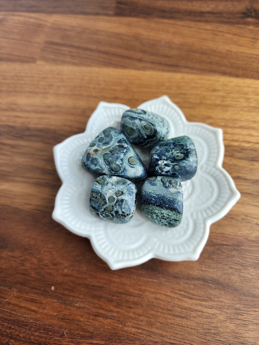 Kambaba Jasper Tumble Stone: Green Earthy Crystal