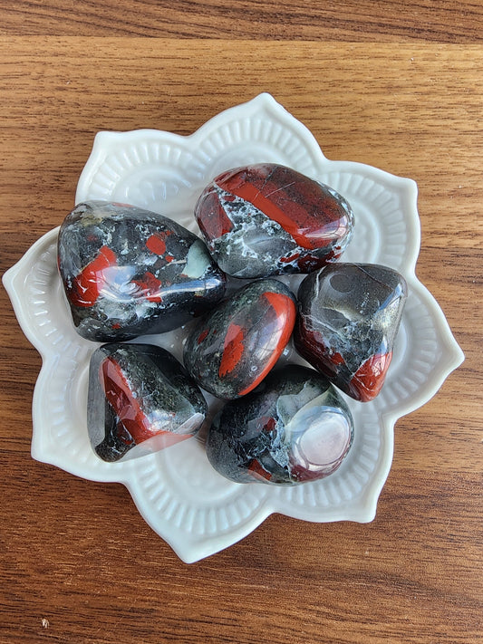 African Bloodstone Tumble: Cherry Orchard Jasper, Medium Red Crystal