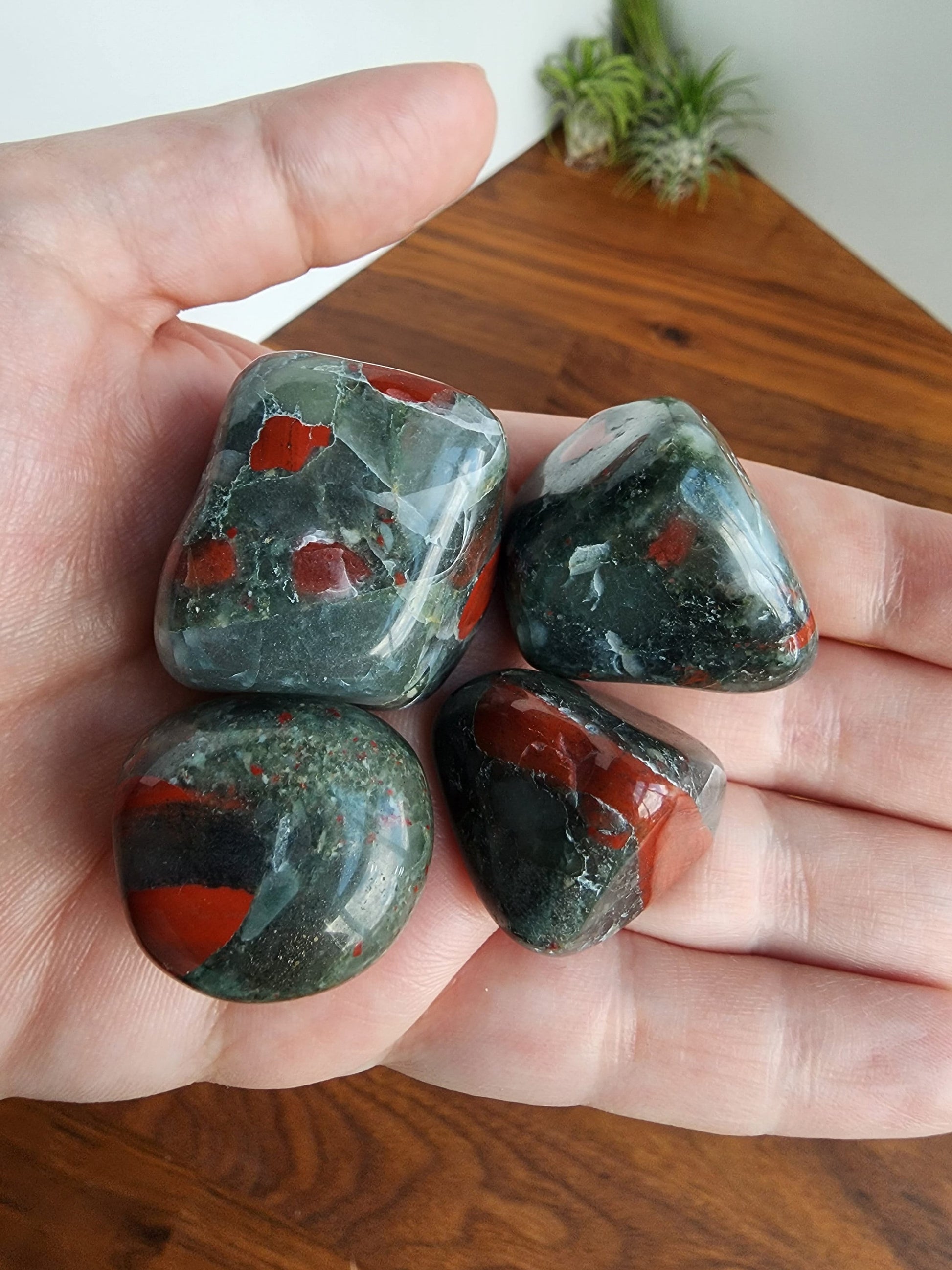 Cherry Orchard Tumbles | Medium | African Bloodstone | Seftonite, Vulcan Jasper | Red Crystal | Gray Green Crystals | Intuitively Chosen