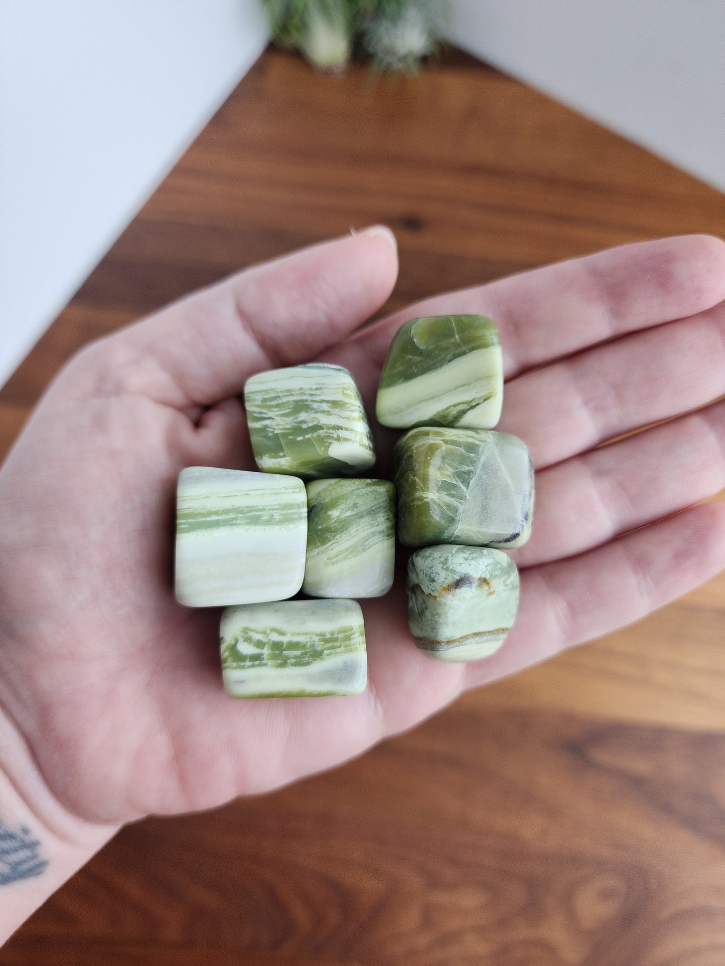 Serpentine Tumbles | Medium | Light Green Banded Crystal | High Quality | Intuitively Chosen
