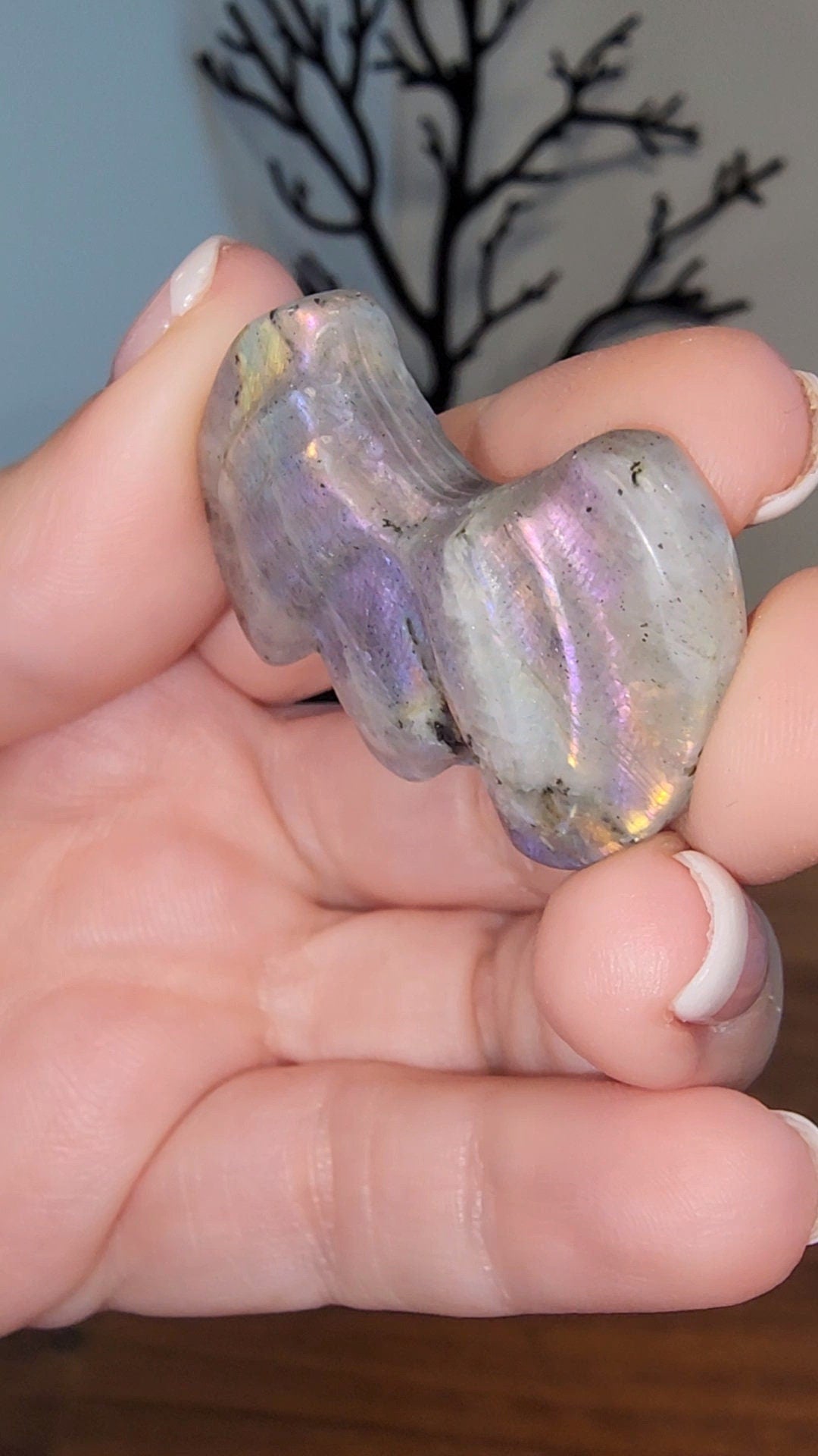 Labradorite Mini Bats | Cute Flashy Lab Bat Carvings | Rainbow | Cute Halloween Crystals | Spooky Season Crystal | Intuitively Chosen