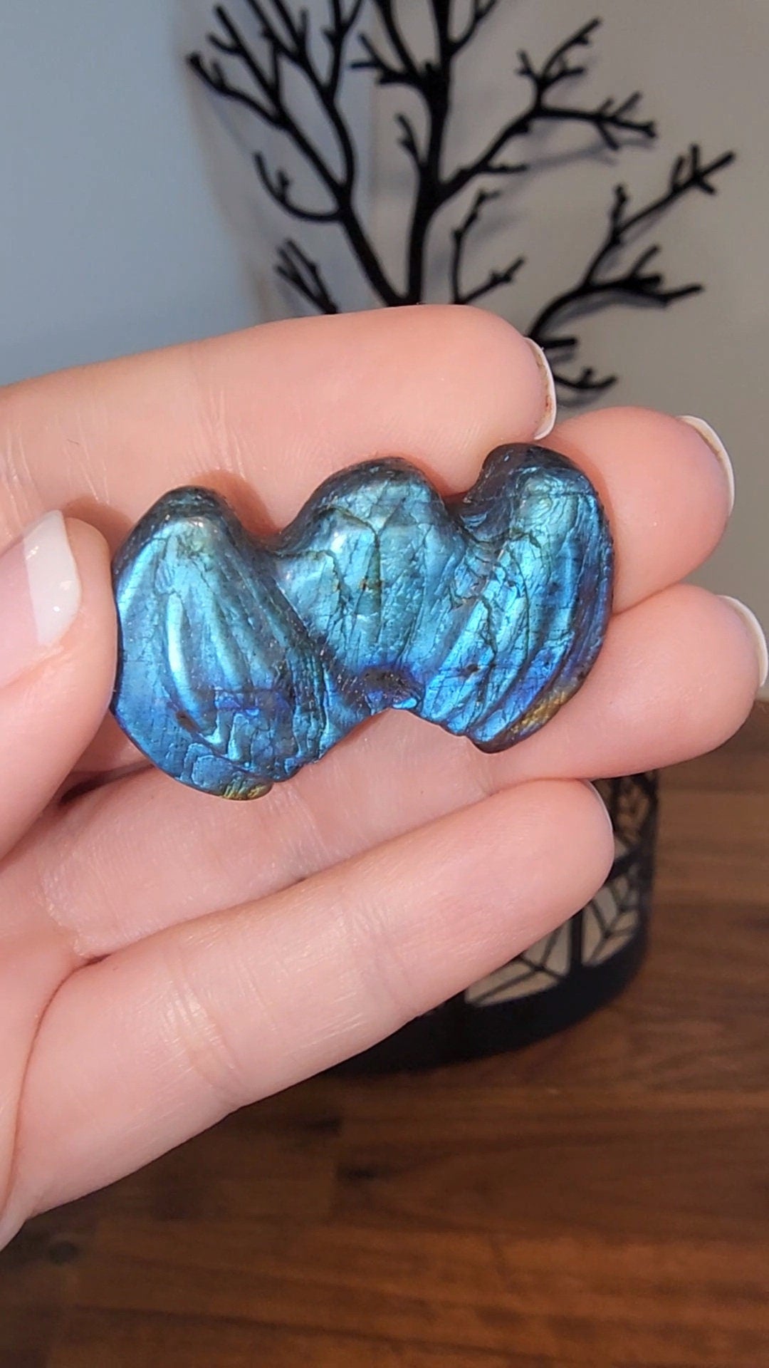 Labradorite Mini Bats | Cute Flashy Lab Bat Carvings | Rainbow | Cute Halloween Crystals | Spooky Season Crystal | Intuitively Chosen