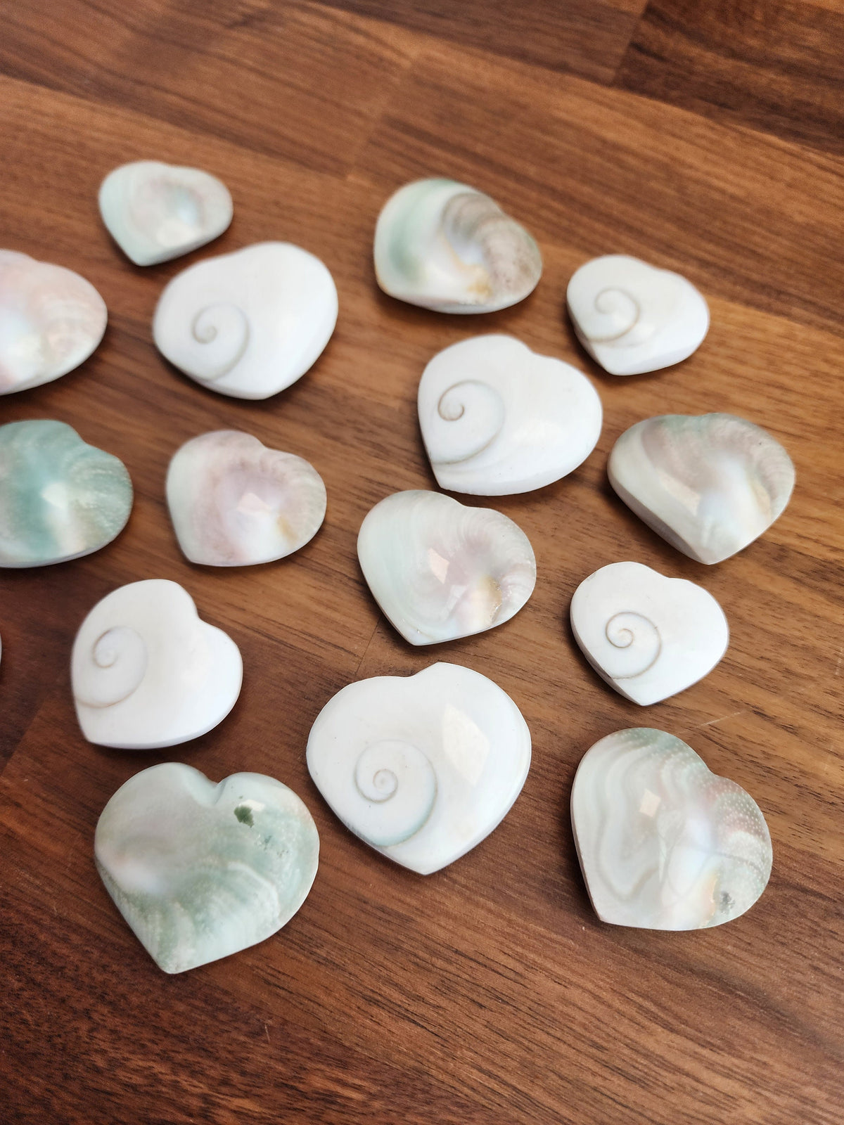 Crystal Shiva Shell Heart: Swirled White and Rainbow Colors