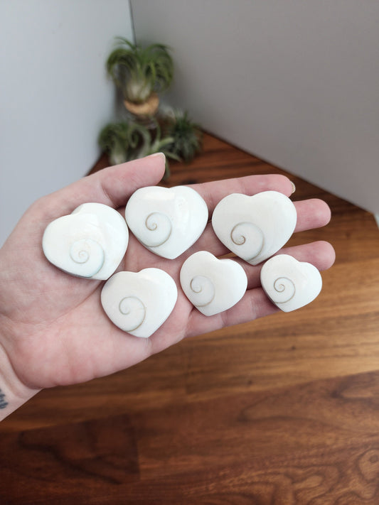 Crystal Shiva Shell Heart: Swirled White and Rainbow Colors