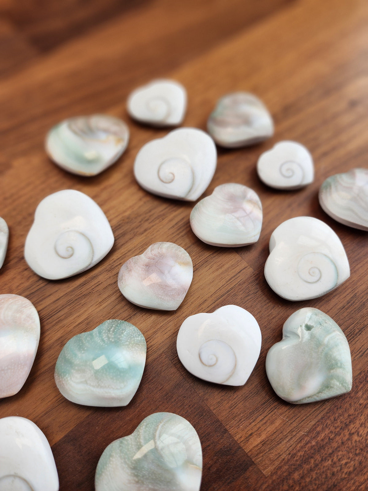 Crystal Shiva Shell Heart: Swirled White and Rainbow Colors