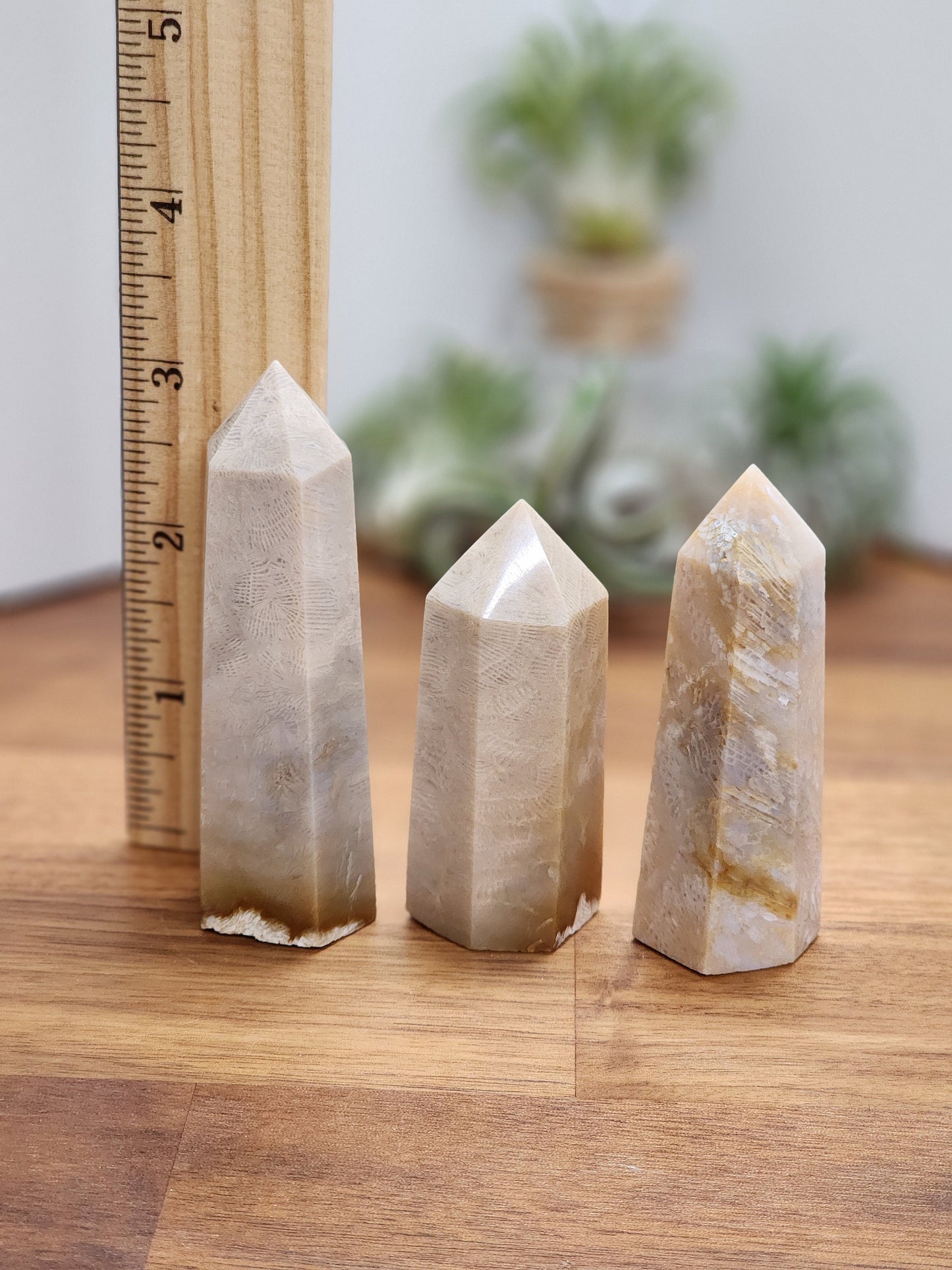 Coral Jade Tower | Cream tones | Ancient Coral | Agatized Fossil Coral | Gorgeous Feather Pattern | Choose Your Own Crystal!