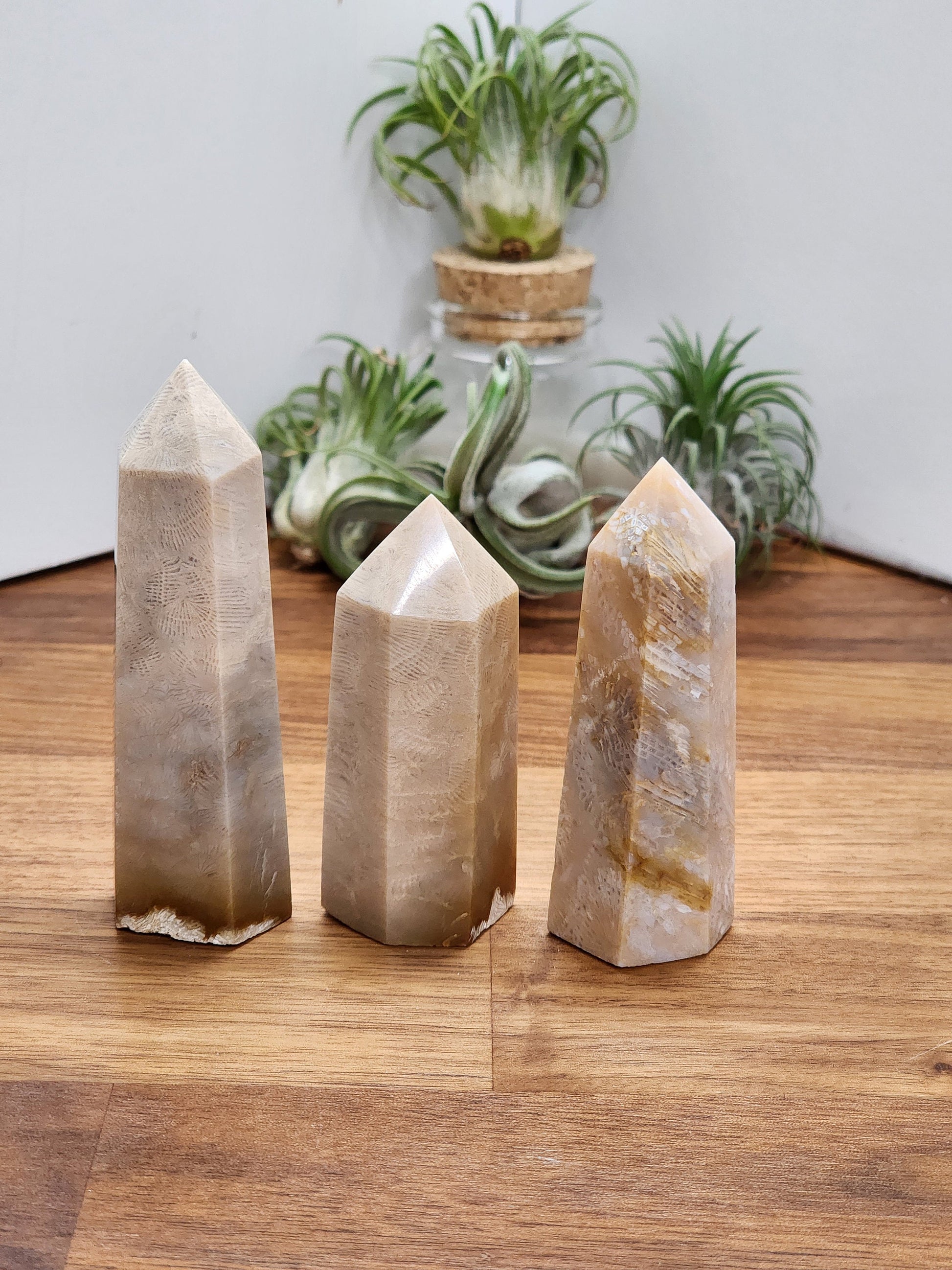 Coral Jade Tower | Cream tones | Ancient Coral | Agatized Fossil Coral | Gorgeous Feather Pattern | Choose Your Own Crystal!