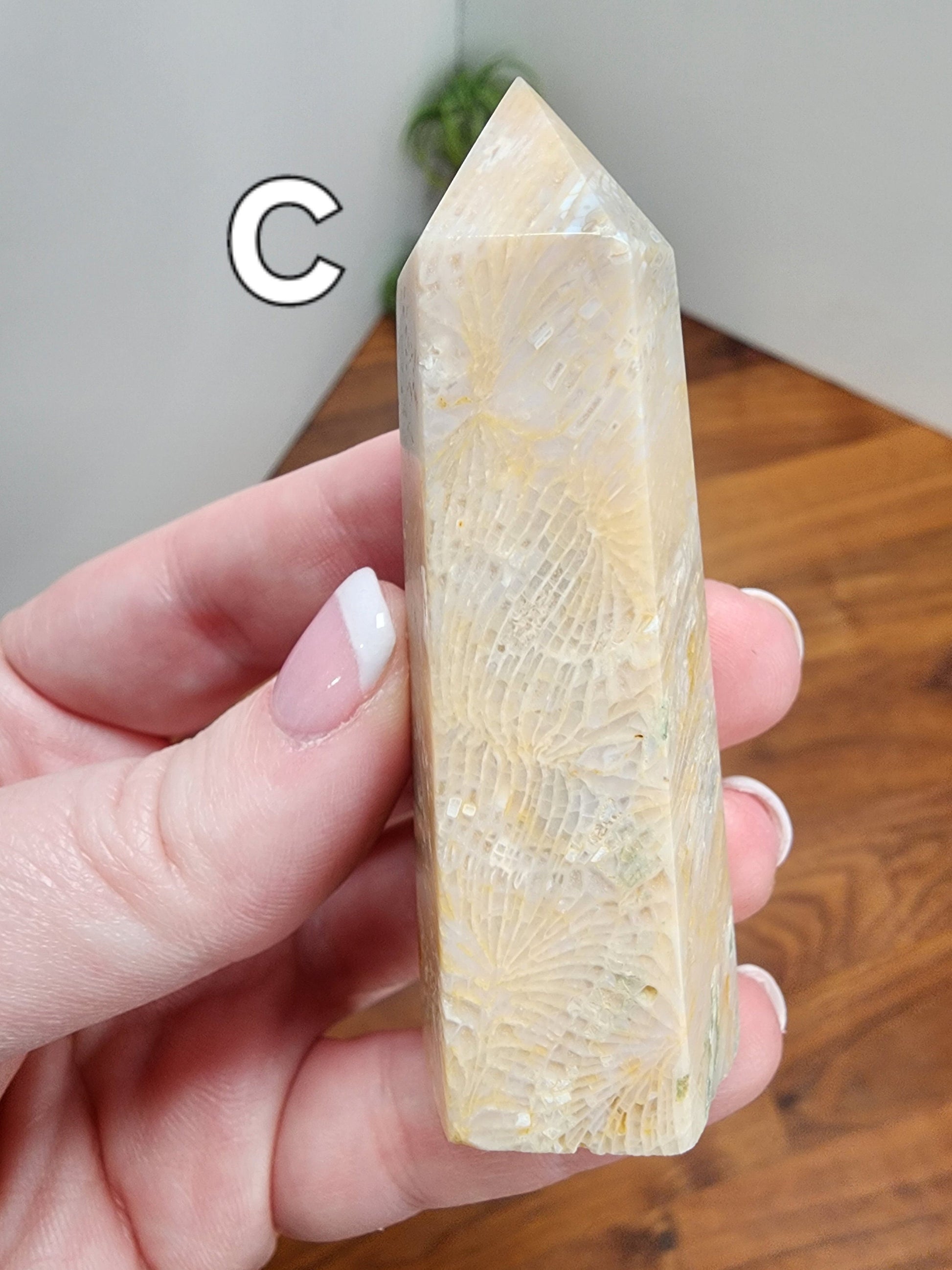 Coral Jade Tower | Cream tones | Ancient Coral | Agatized Fossil Coral | Gorgeous Feather Pattern | Choose Your Own Crystal!