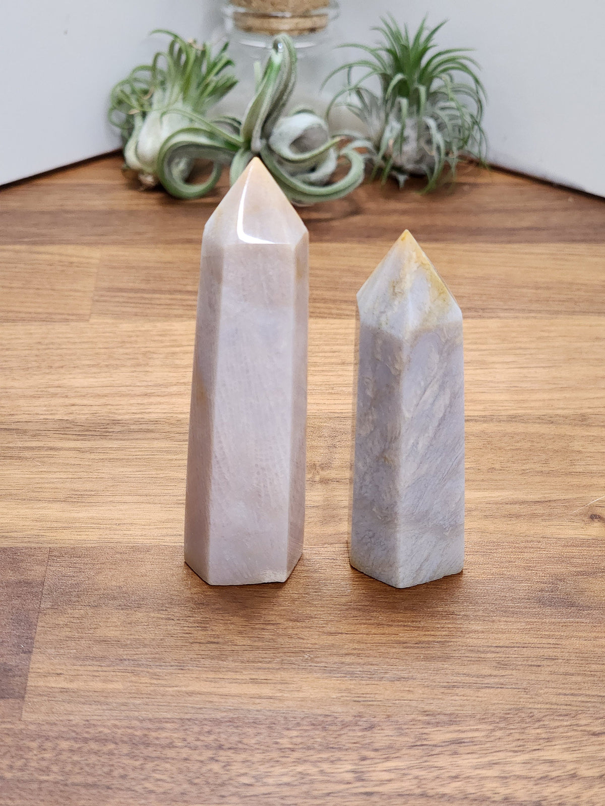 Agatized Coral Tower - Unique Blue Gray Fossil, Natural Stone