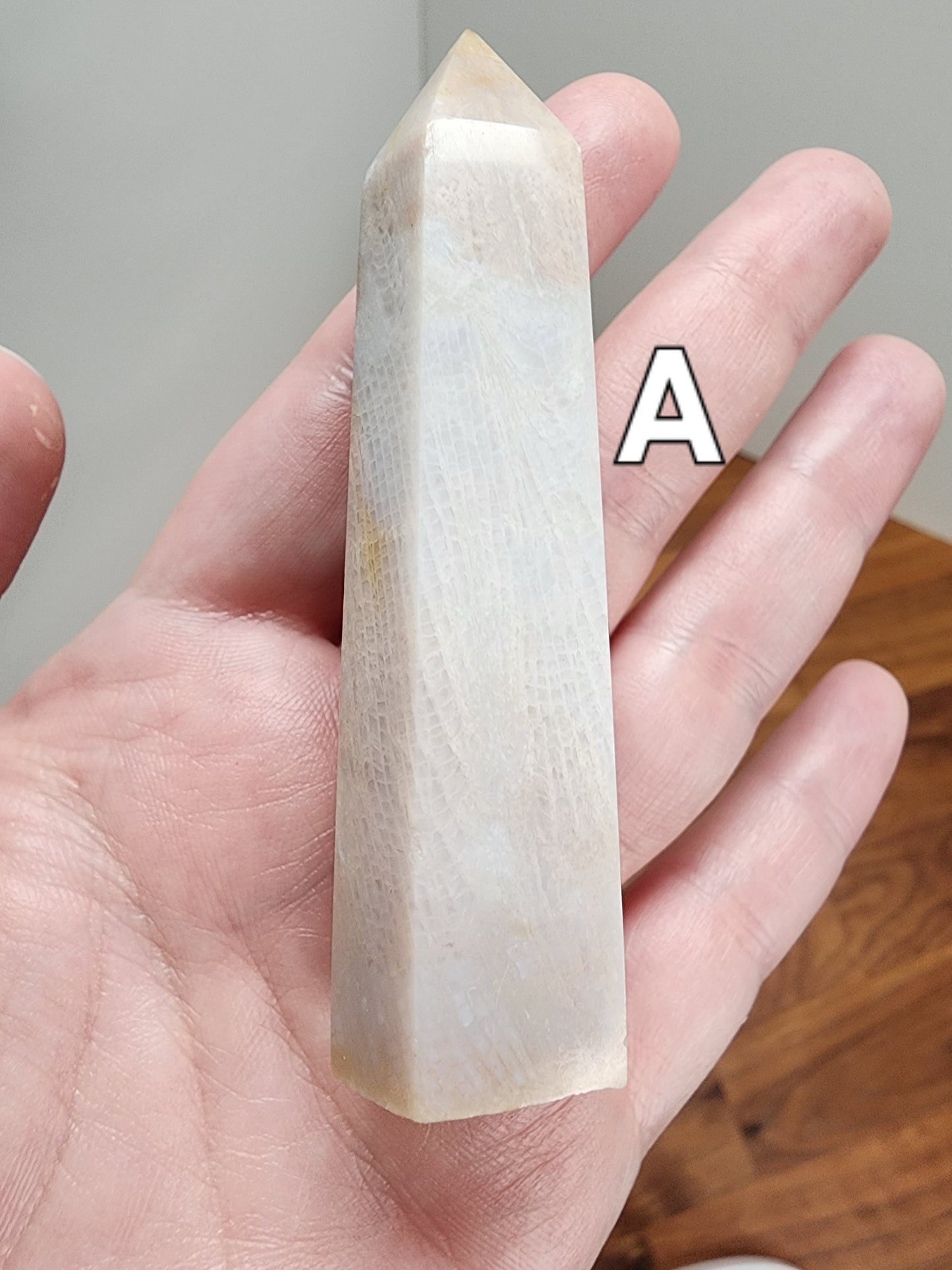 Coral Jade Tower | Blue Gray Shades | Ancient Coral | Agatized Fossil | Feather Patterns | Choose Your Own Crystal!