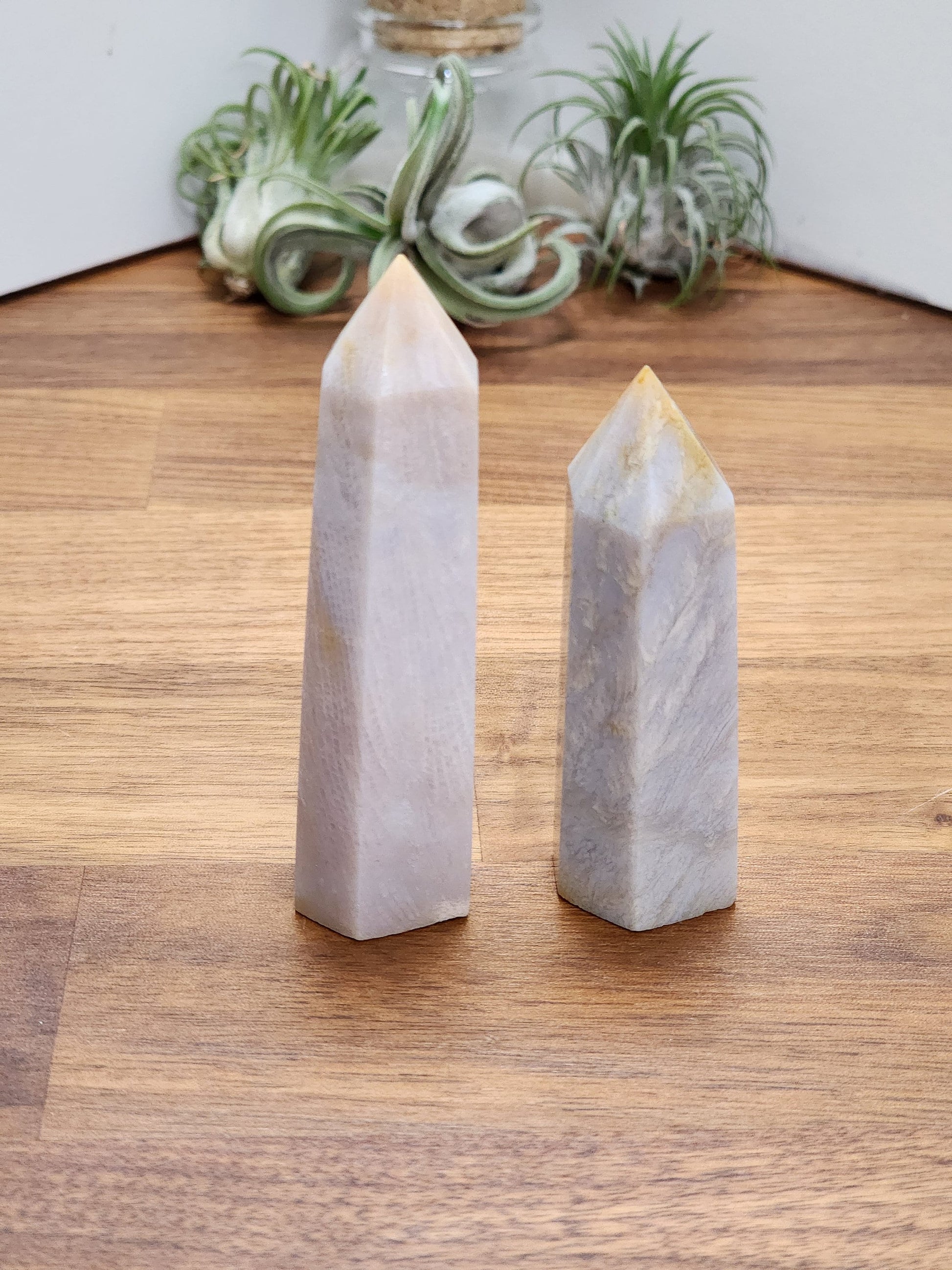 Coral Jade Tower | Blue Gray Shades | Ancient Coral | Agatized Fossil | Feather Patterns | Choose Your Own Crystal!