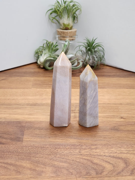 Agatized Coral Tower - Unique Blue Gray Fossil, Natural Stone