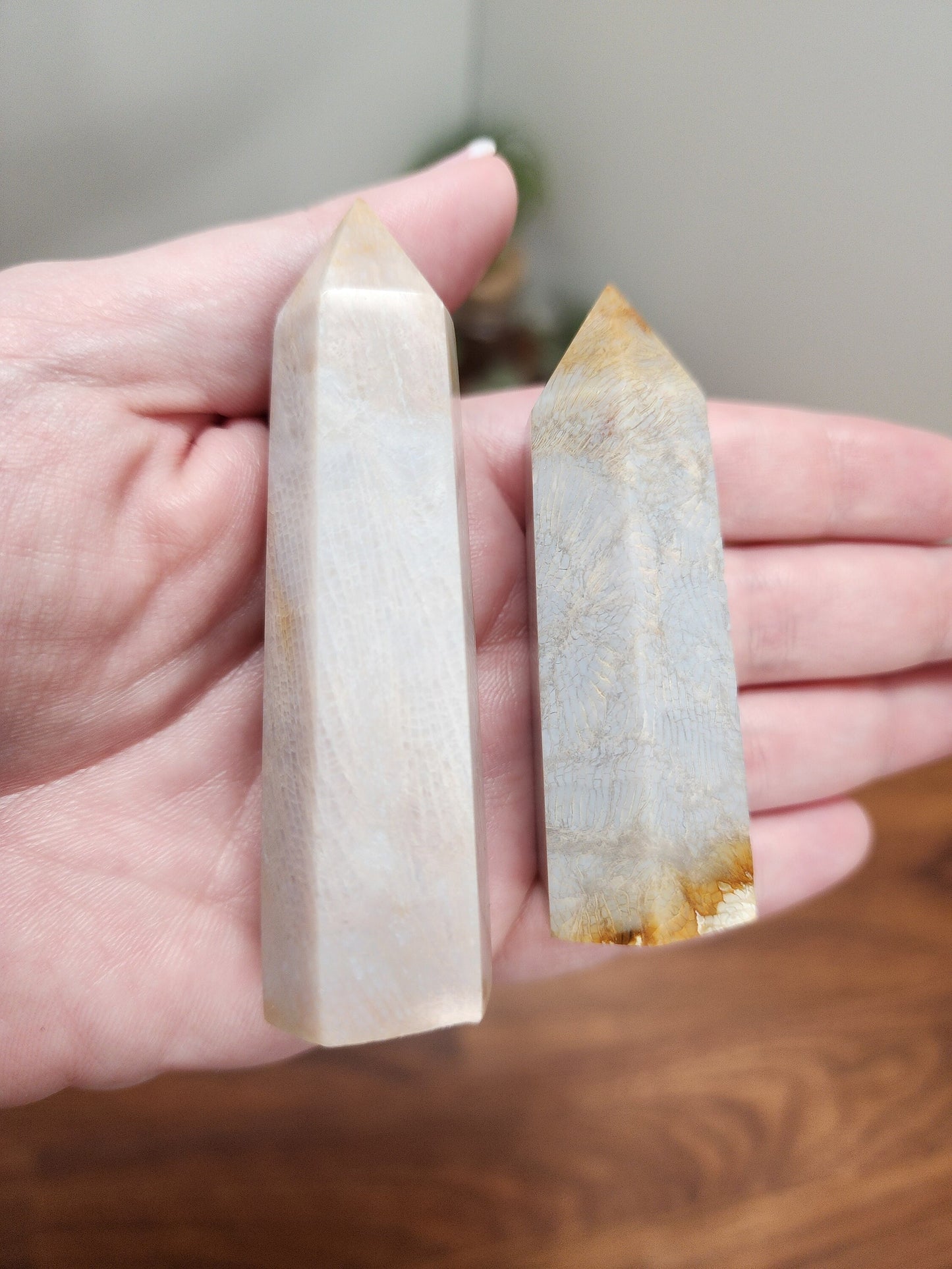 Coral Jade Tower | Blue Gray Shades | Ancient Coral | Agatized Fossil | Feather Patterns | Choose Your Own Crystal!