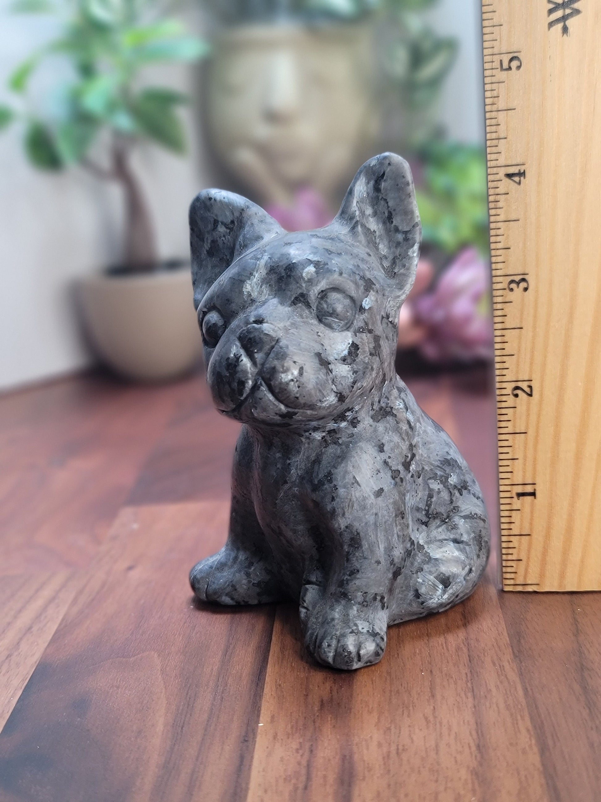 Larvikite Crystal French Bulldog Carving: Flashy Stone Decor (4.25 inch)