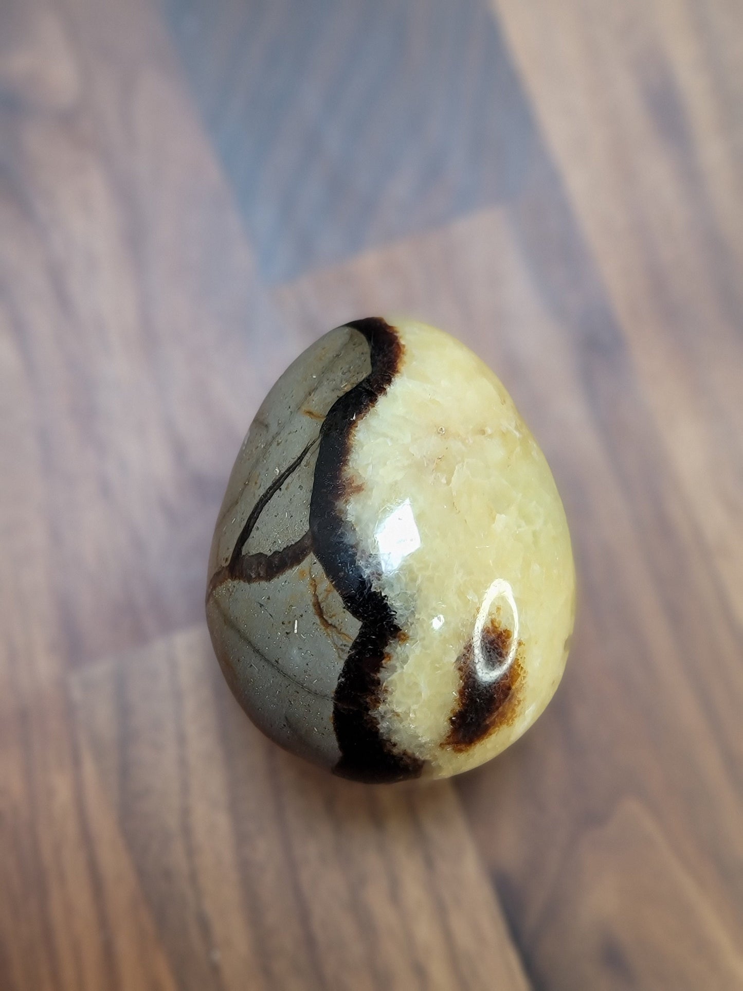 Septarian Egg Crystal Carving: Yellow, Gray & Black Stone (69 MM)