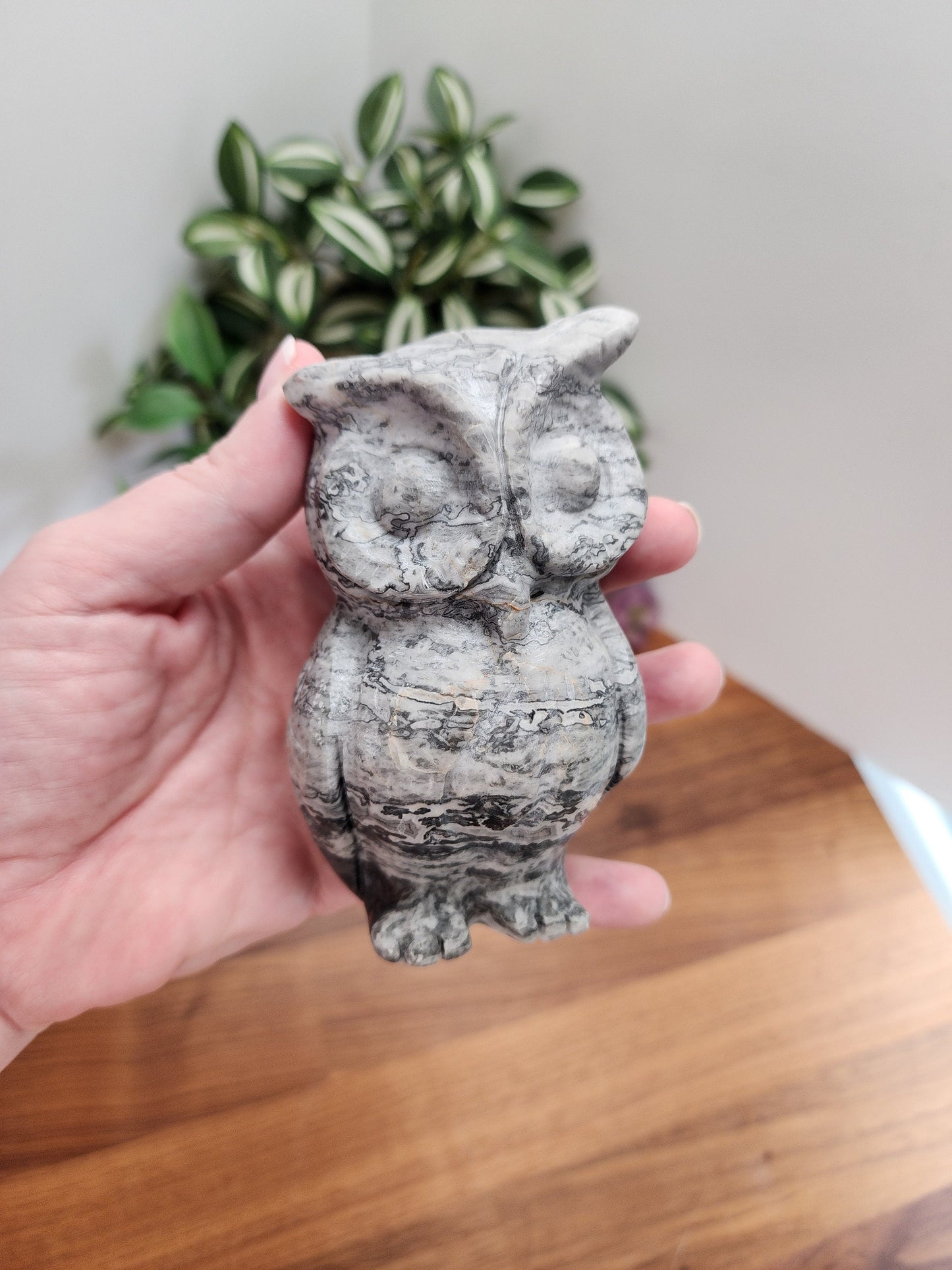 Picasso Jasper Owl Carving: Black & White Crystal Decor