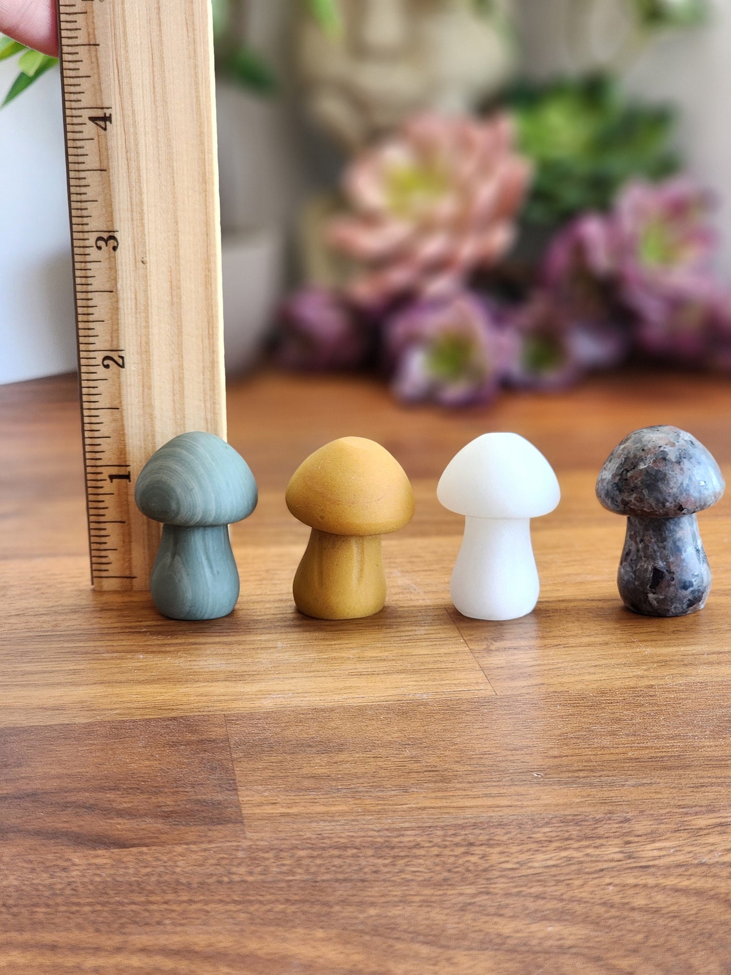 Chunky Crystal Mushroom: Obsidian, Jade, Fluorite, Yooperlite, Goldstone