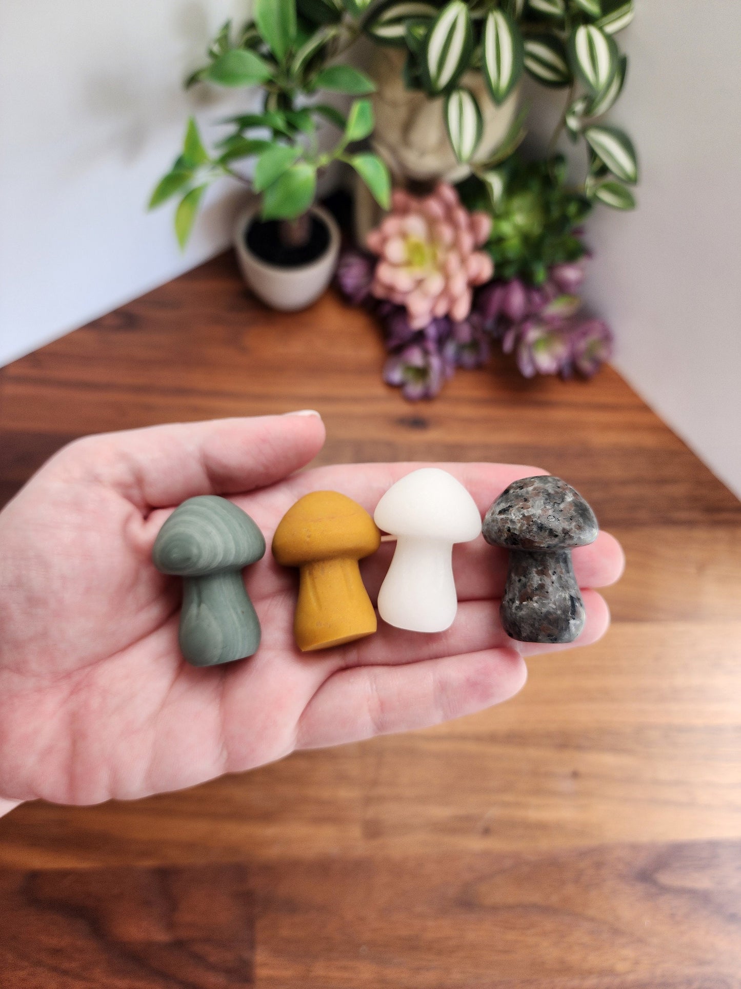 Chunky Crystal Mushroom: Obsidian, Jade, Fluorite, Yooperlite, Goldstone