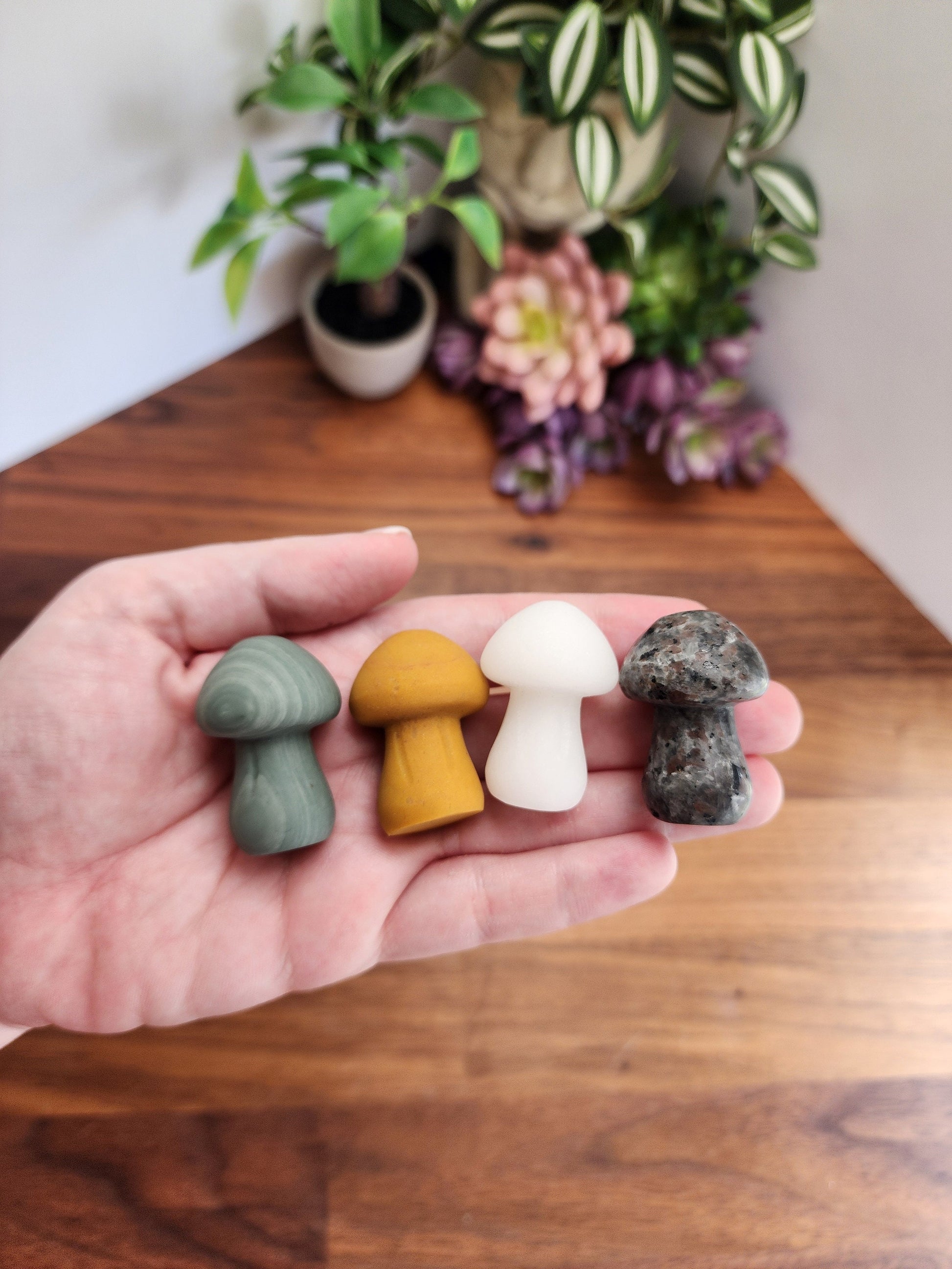 Chunky Crystal Mushroom: Obsidian, Jade, Fluorite, Yooperlite, Goldstone