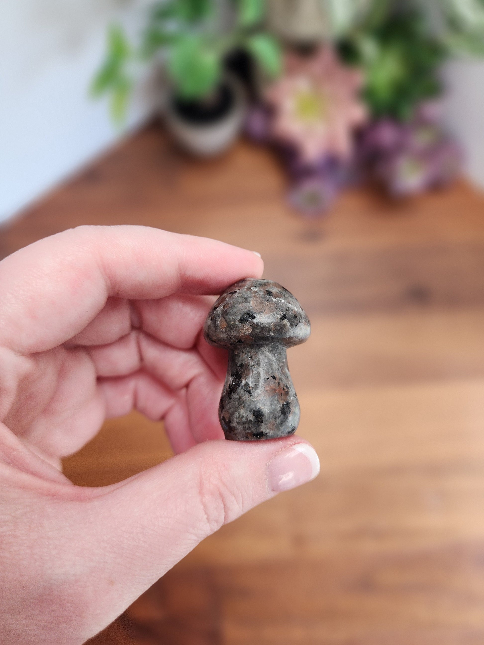 Chunky Crystal Mushroom: Obsidian, Jade, Fluorite, Yooperlite, Goldstone
