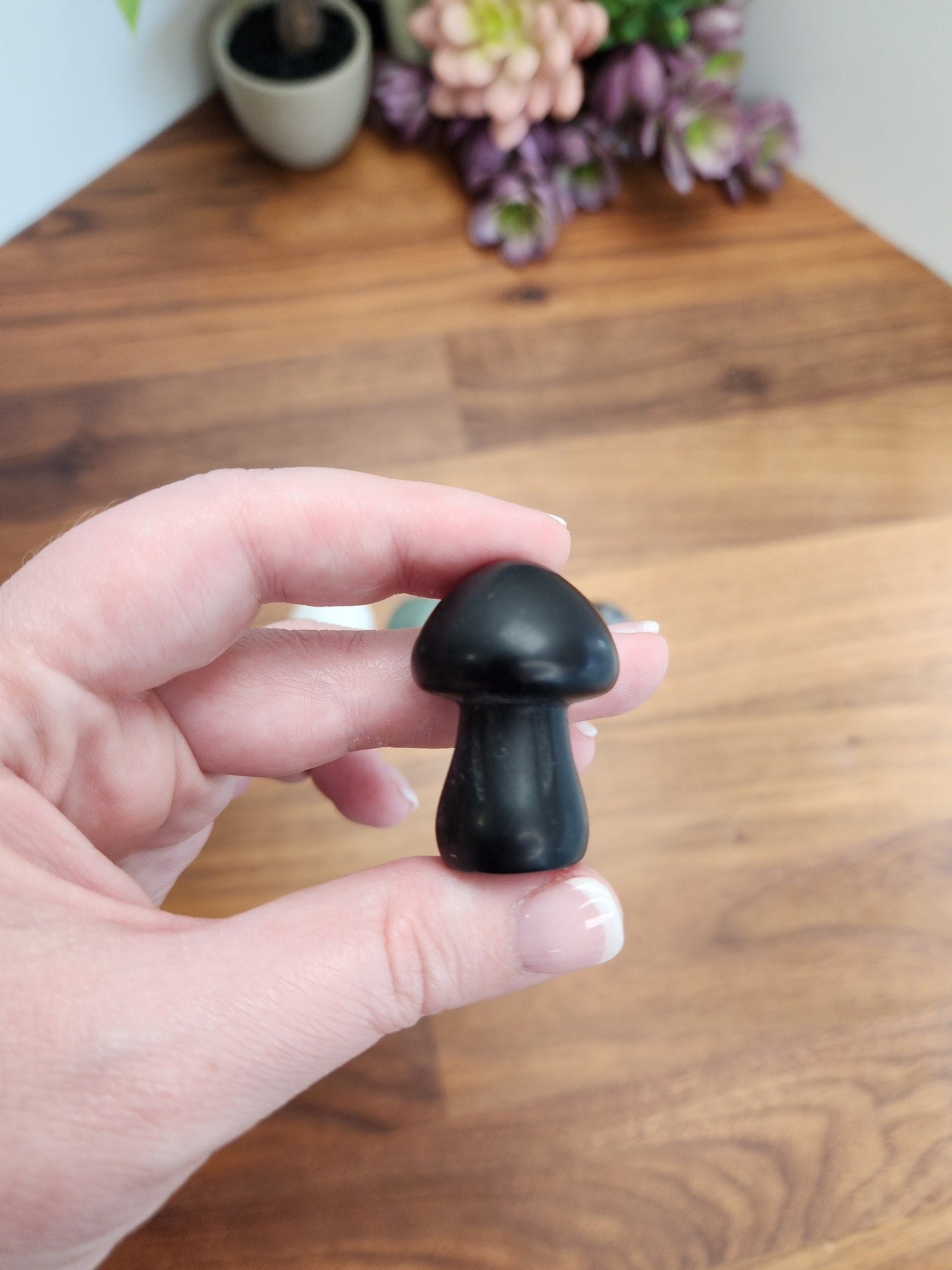 Chunky Crystal Mushroom: Obsidian, Jade, Fluorite, Yooperlite, Goldstone