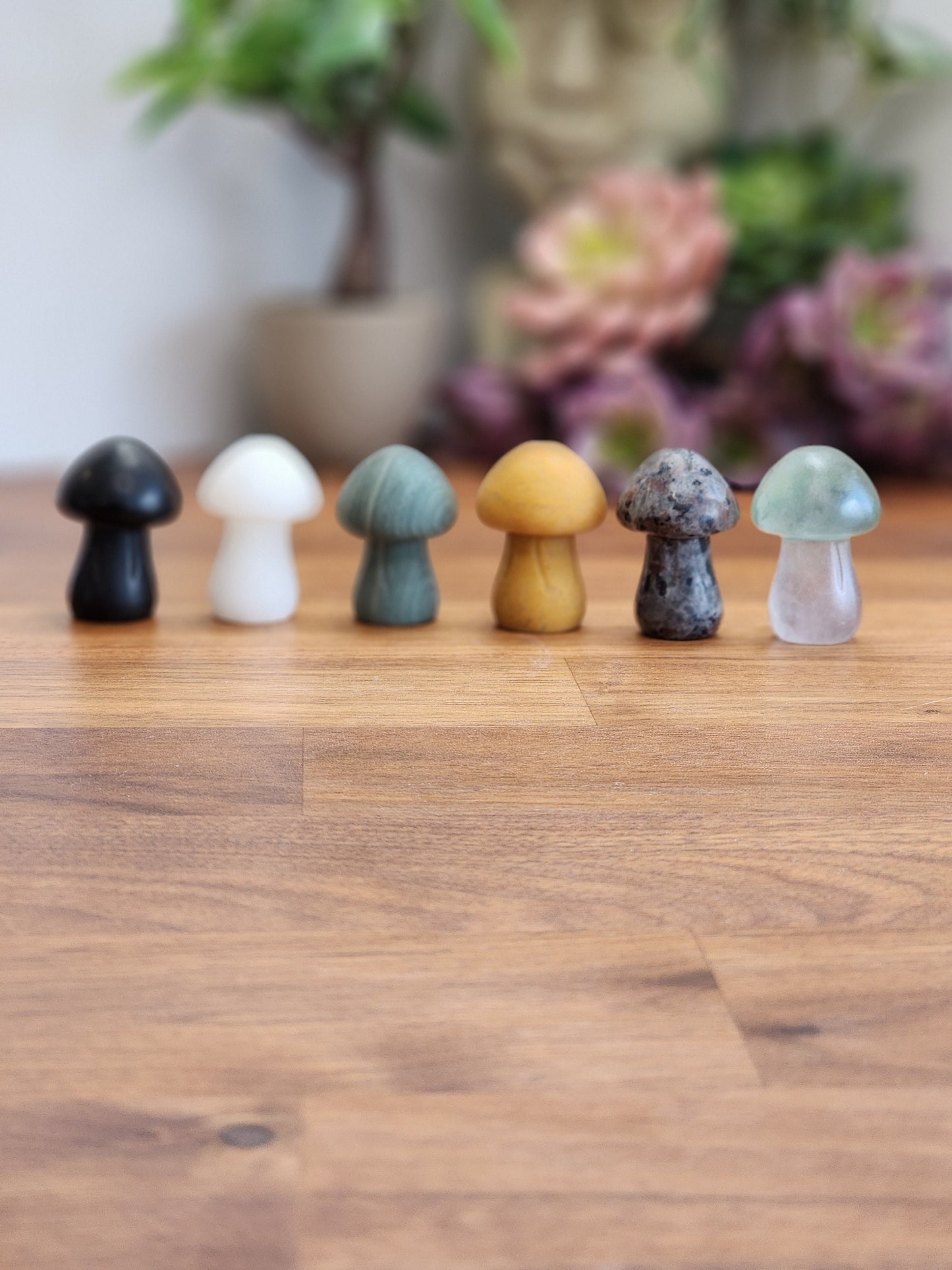Chunky Crystal Mushroom: Obsidian, Jade, Fluorite, Yooperlite, Goldstone