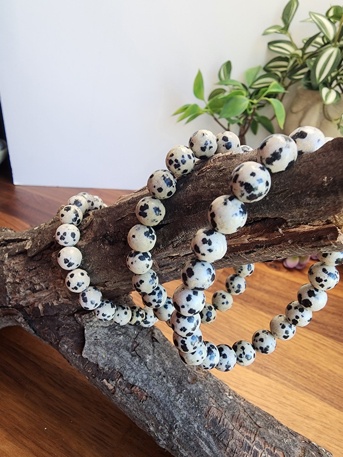 Dalmatian Jasper | 8MM Crystal Bracelet | Classy Black and White Dalmation Spotted Jewelry | As Seen in the Pot of Gold Crystal Confetti Mix