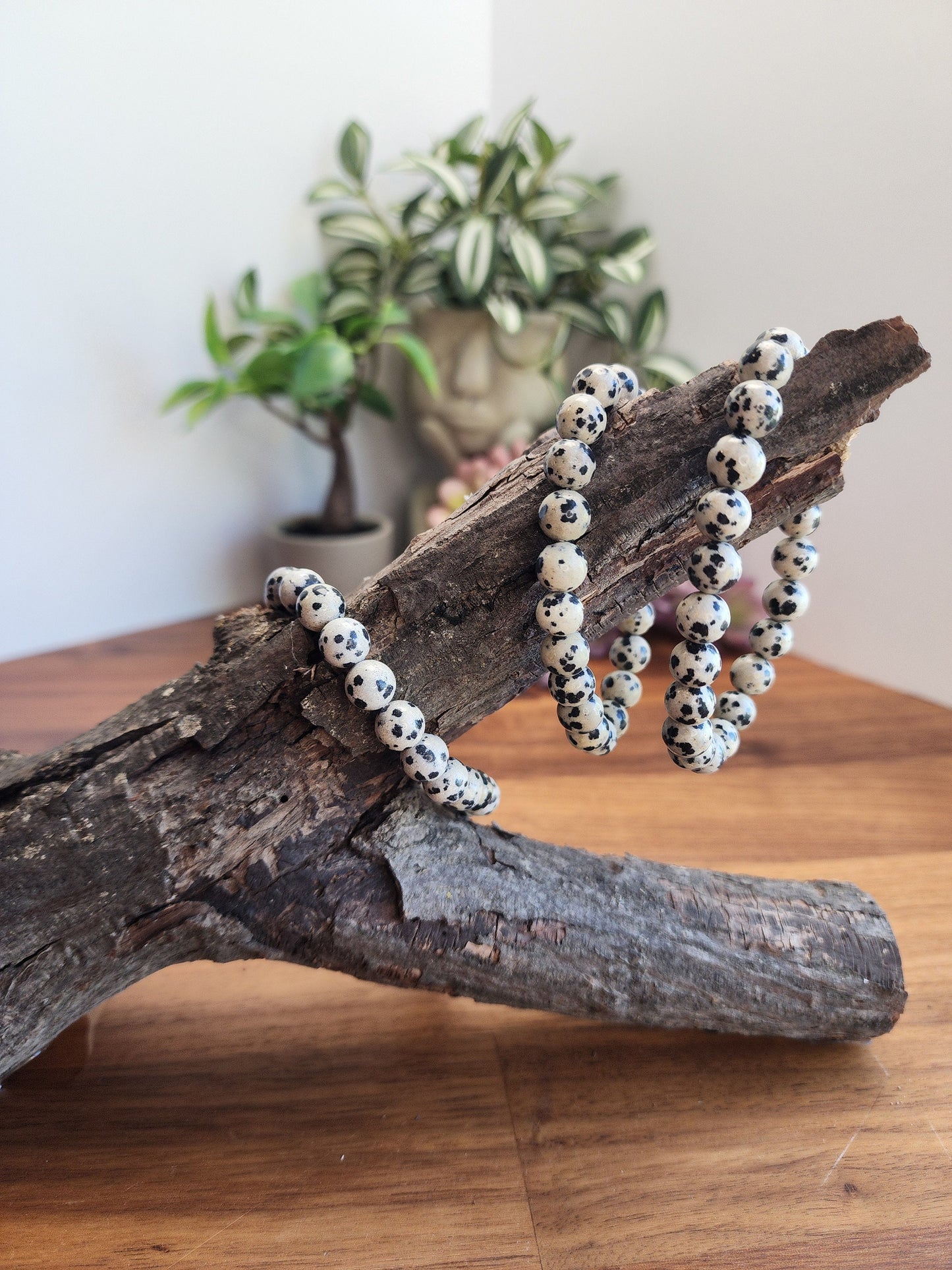 Dalmatian Jasper | 8MM Crystal Bracelet | Classy Black and White Dalmation Spotted Jewelry | As Seen in the Pot of Gold Crystal Confetti Mix