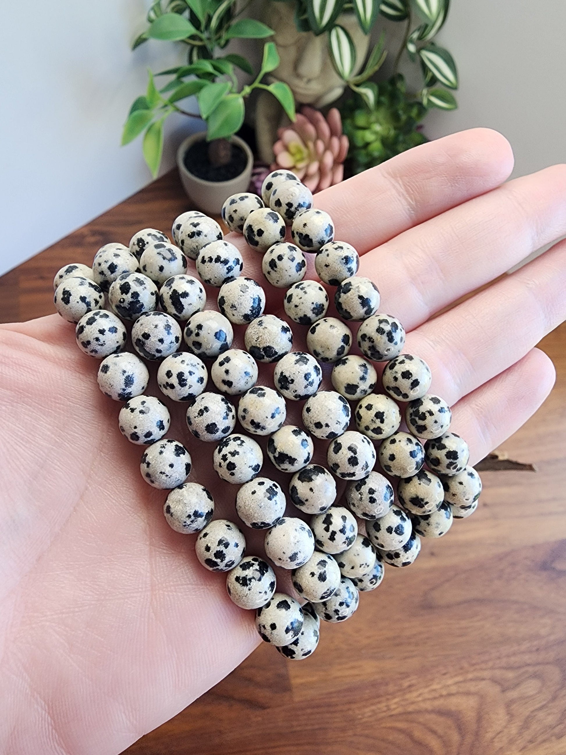 Dalmatian Jasper Bracelet: 8MM Crystal Beads | Natural Black Spots on Beige Cream Matrix | Nature's Polka Dots | Pet Rememberance Gift