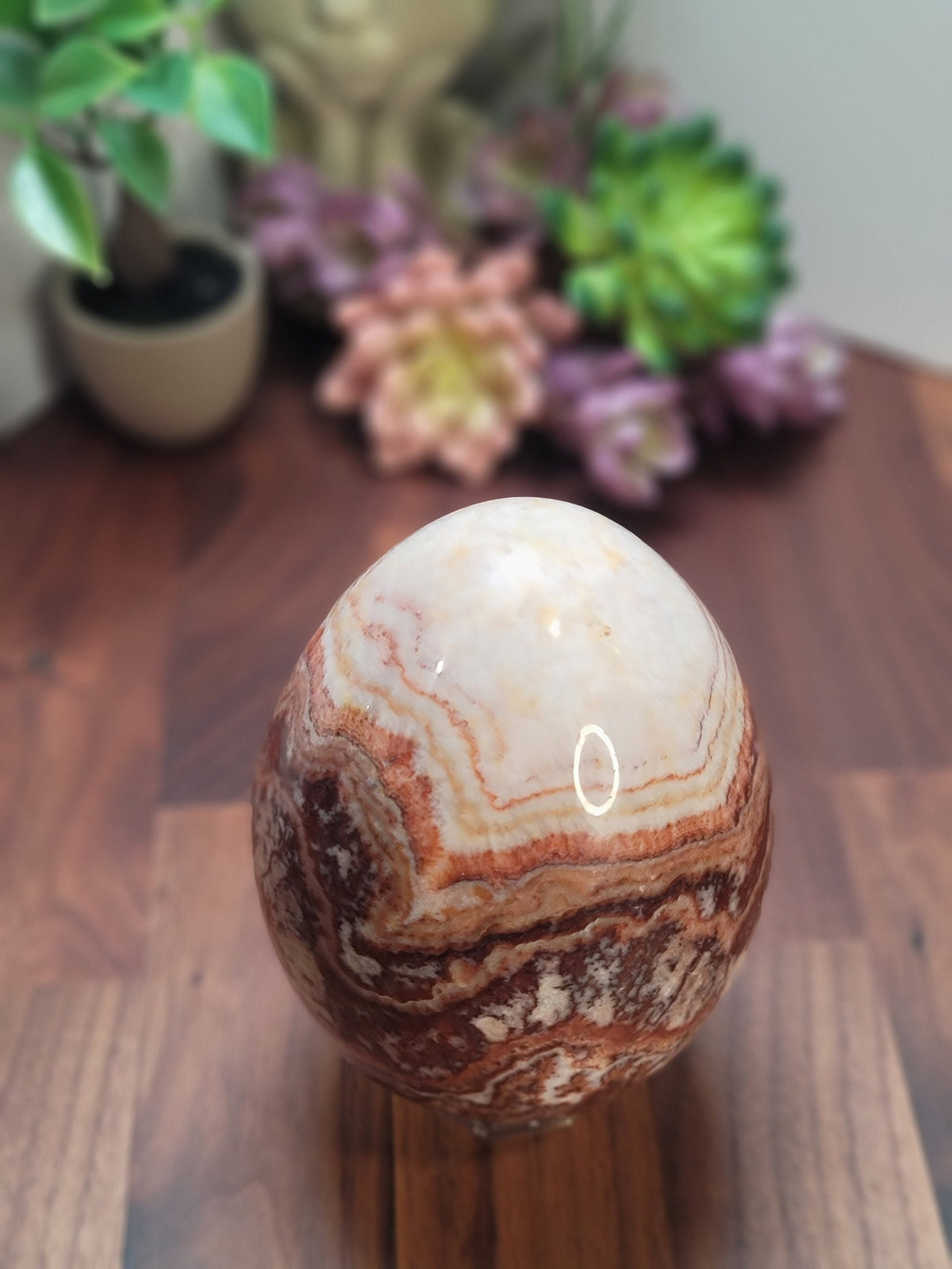 Inv - Beautiful Mexican Red Banded Calcite Egg | "B" | Large Crystal Statement Piece | Natural Porkstone in Red Pink White Brown | Rare Find