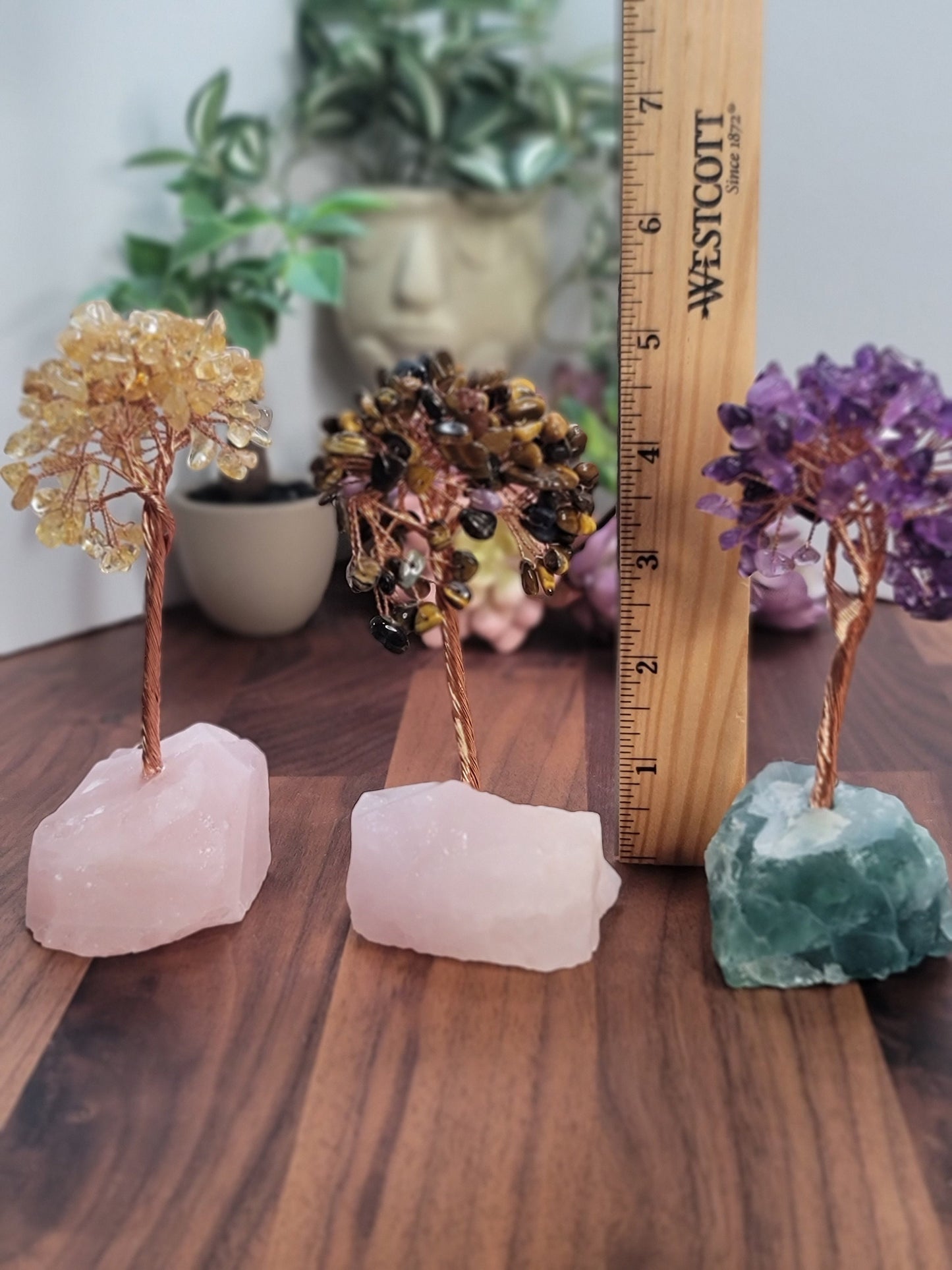 Crystal Trees | Around 5" | Citrine, Tiger's Eye & Amethyst in Crystal Base | Intuitively Chosen