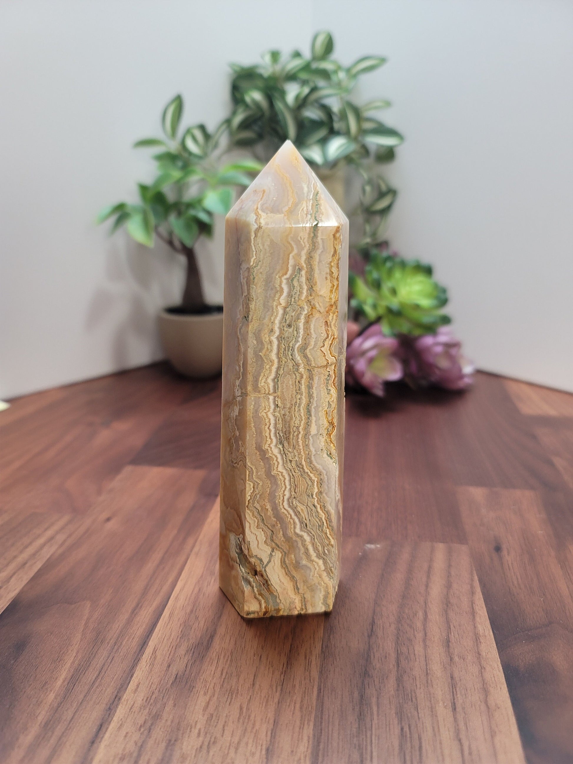 Crazy Lace Agate Crystal Tower | 6 Inches | Alpha | Yellow Brown and White Crystal Point | Only 1 Available