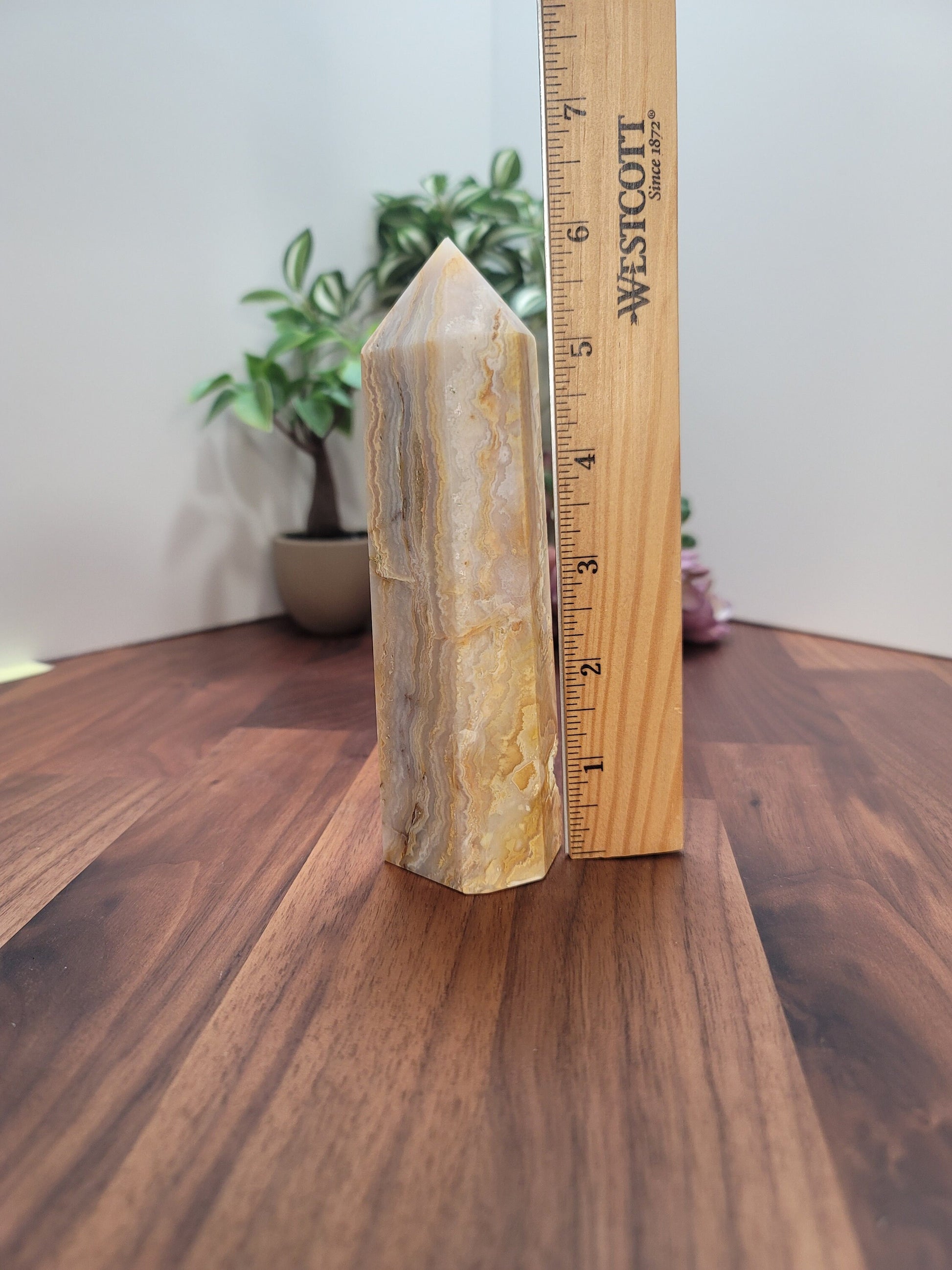 Crazy Lace Agate Crystal Tower | 6 Inches | Alpha | Yellow Brown and White Crystal Point | Only 1 Available