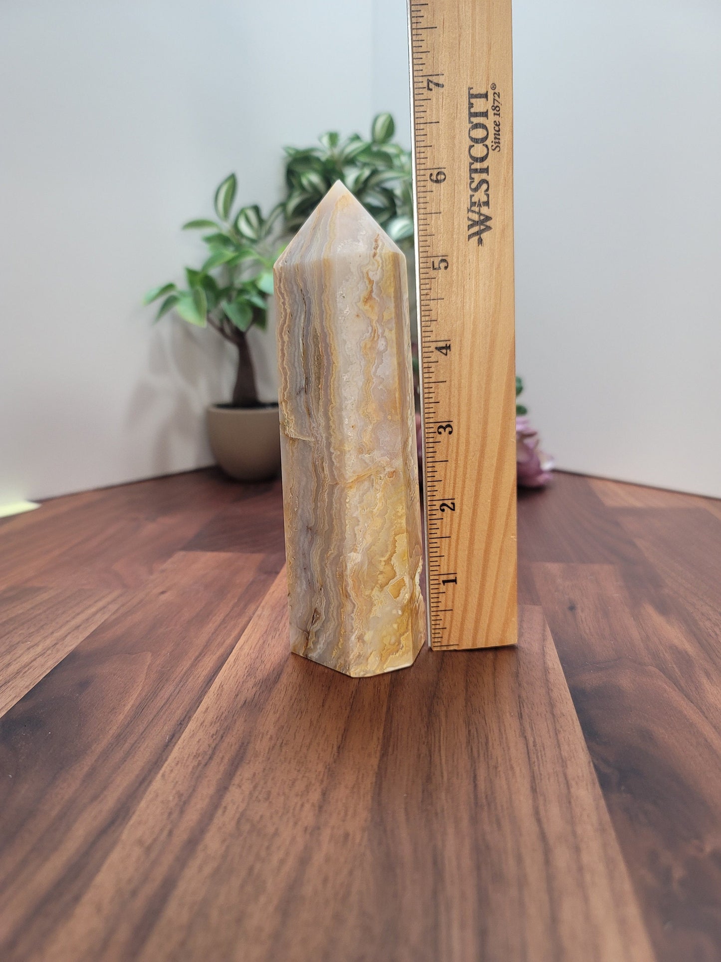 Crazy Lace Agate Crystal Tower | 6 Inches | Alpha | Yellow Brown and White Crystal Point | Only 1 Available