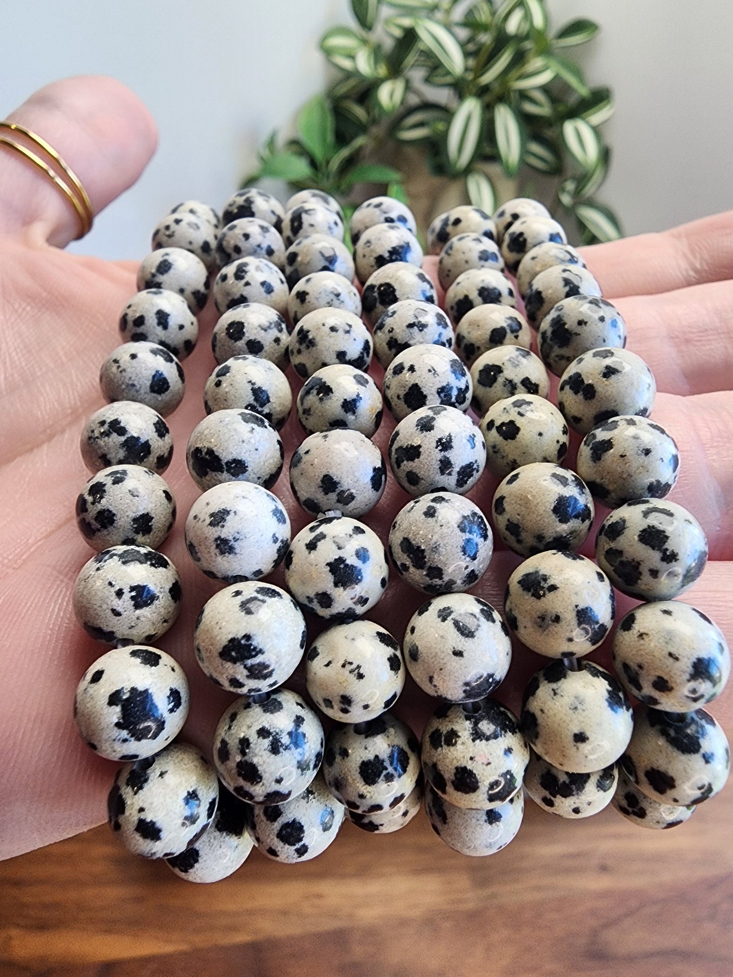 Dalmatian Jasper | 8MM Crystal Bracelet | Classy Black and White Dalmation Spotted Jewelry | As Seen in the Pot of Gold Crystal Confetti Mix