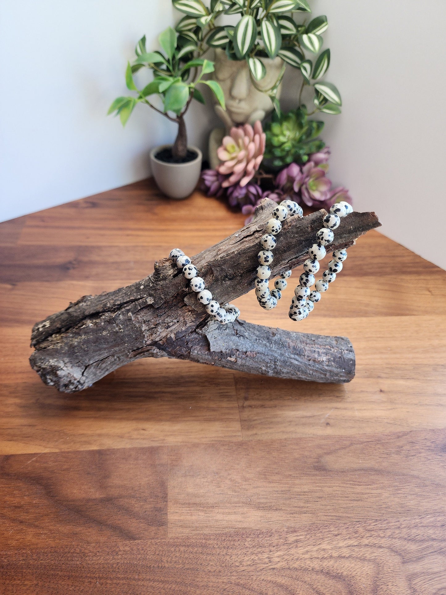 Dalmatian Jasper | 8MM Crystal Bracelet | Classy Black and White Dalmation Spotted Jewelry | As Seen in the Pot of Gold Crystal Confetti Mix