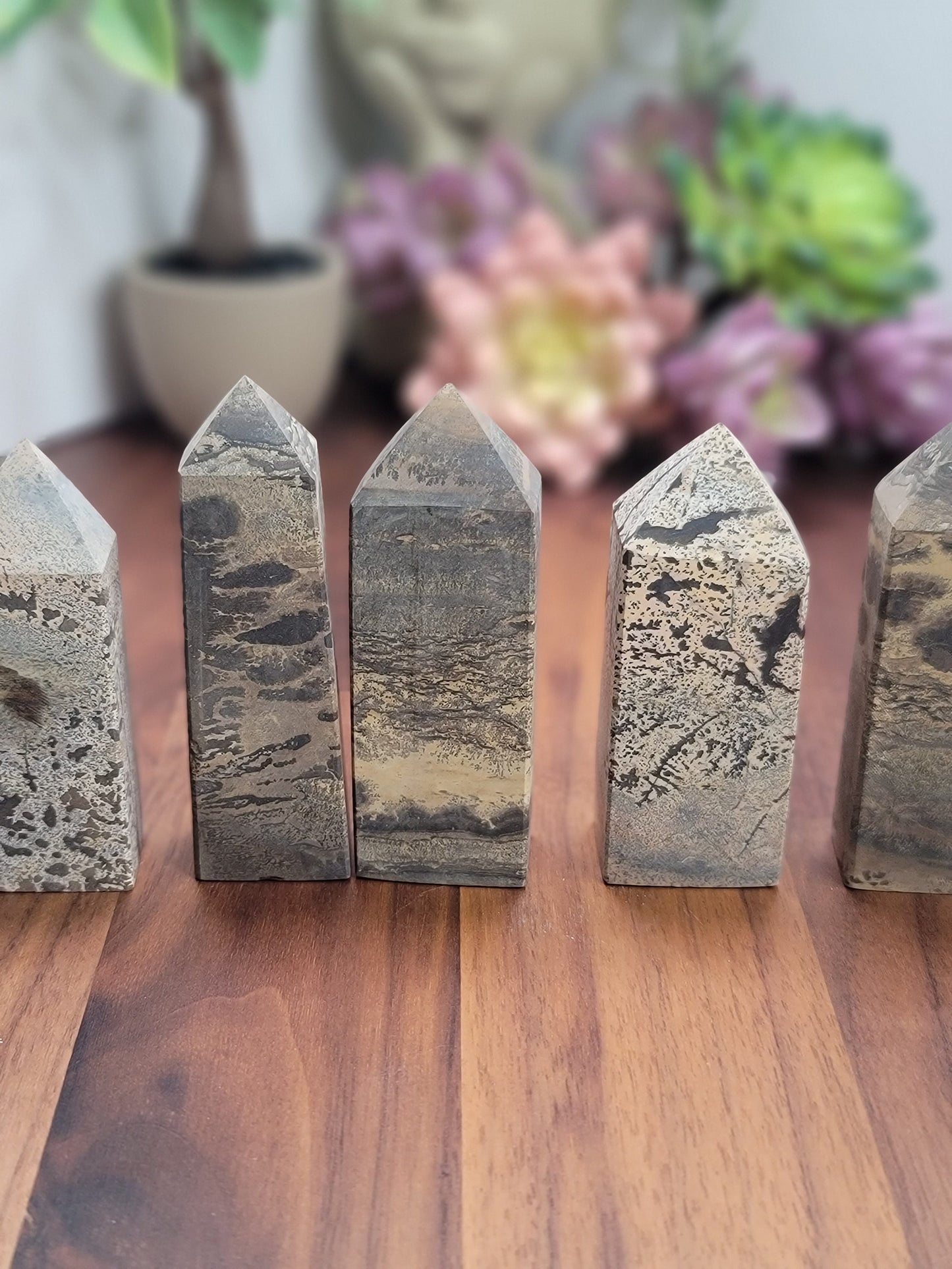 Pretty Picture Jasper Tower | 3.5 Inches | Brown White and Black Crystal Point | Intuitively Chosen